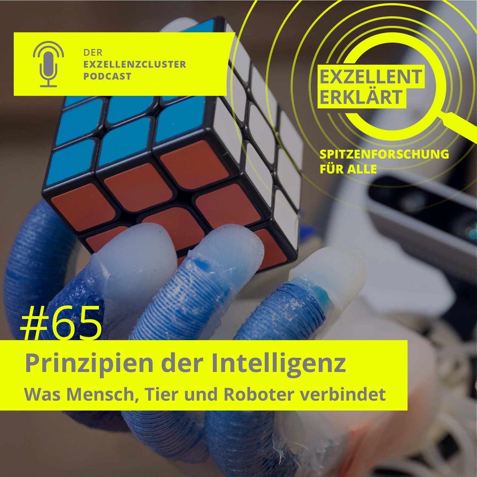 Prinzipien der Intelligenz – Was Mensch, Tier und Roboter verbindet