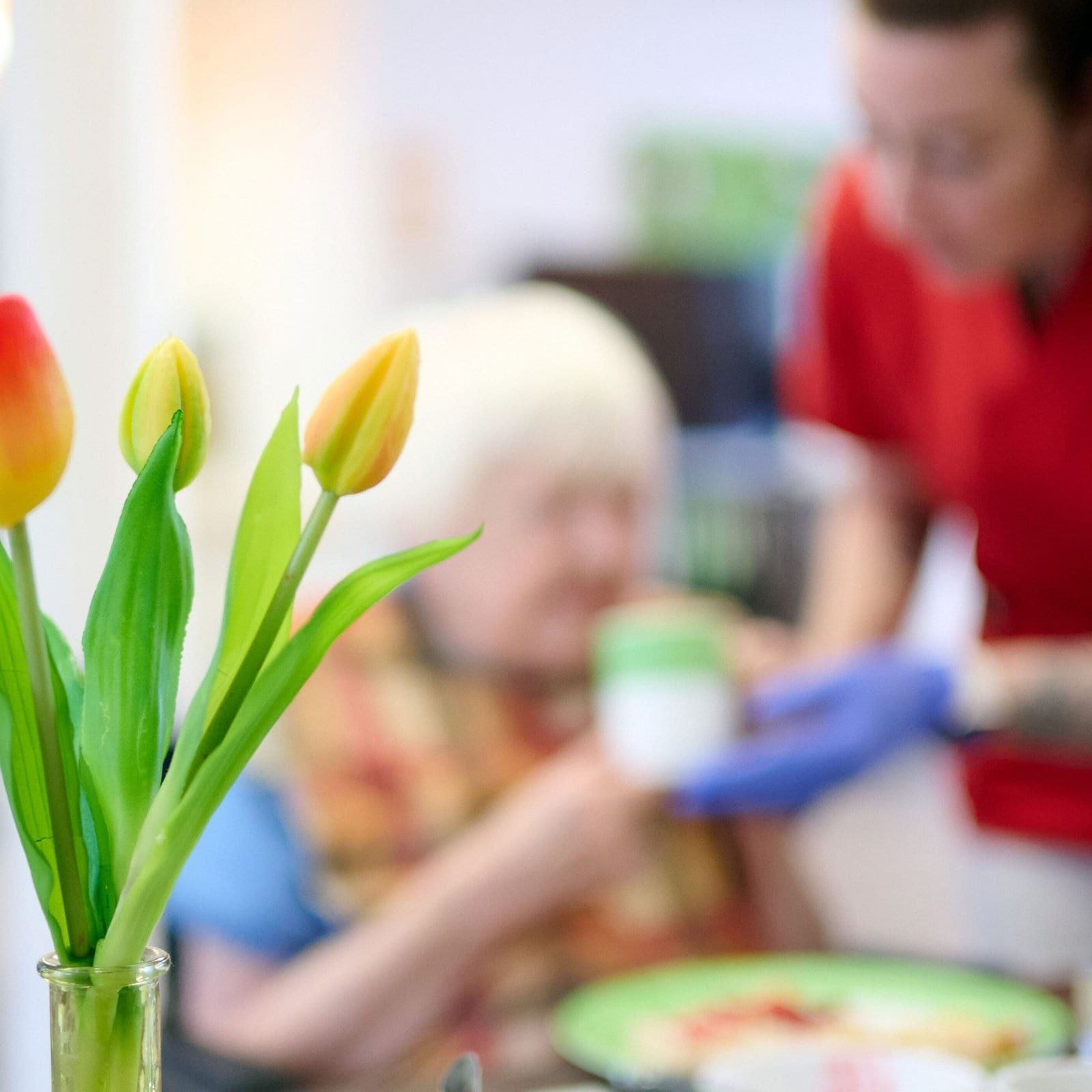 Private und gesetzliche Pflegeversicherung zusammenlegen?