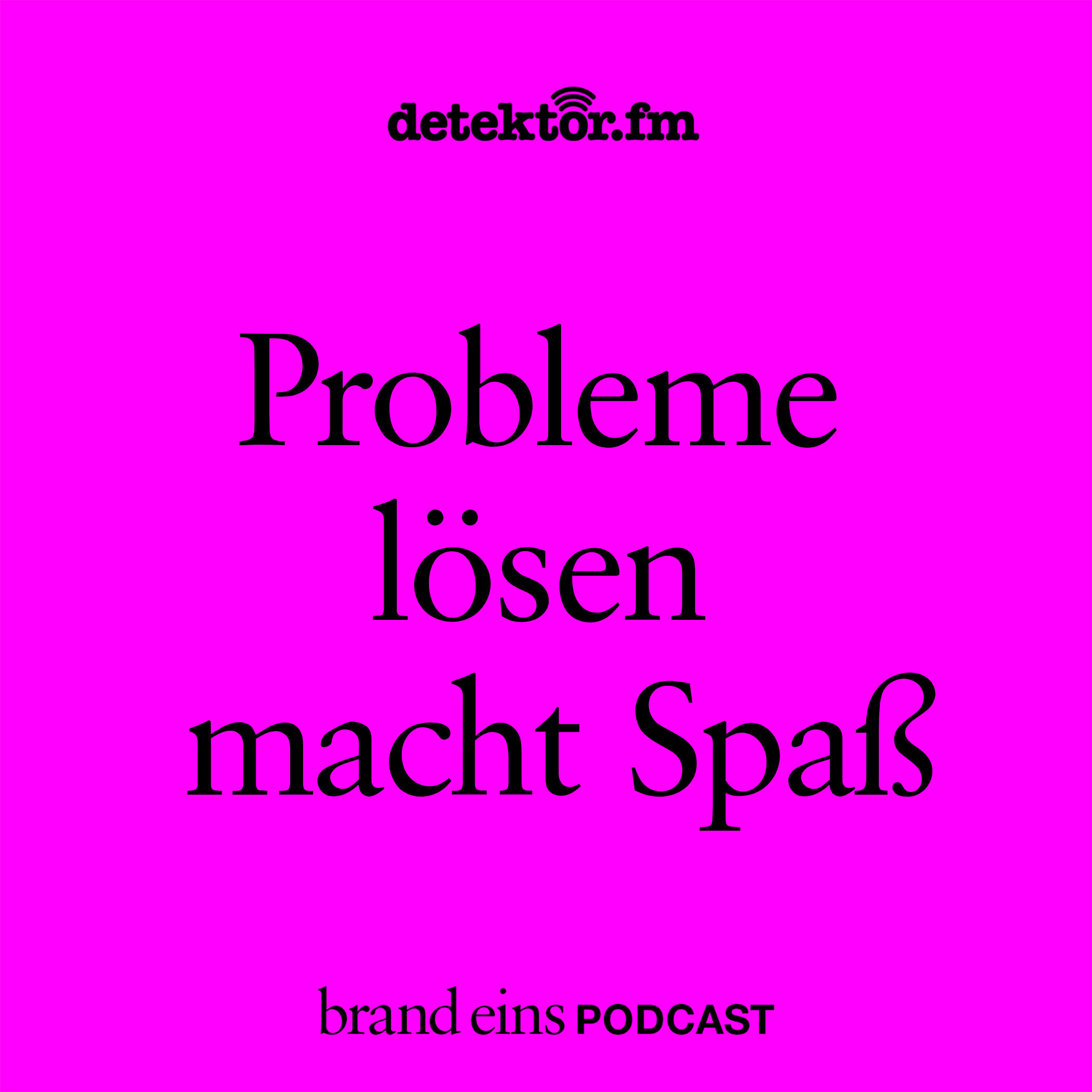 Probleme lösen macht Spaß.