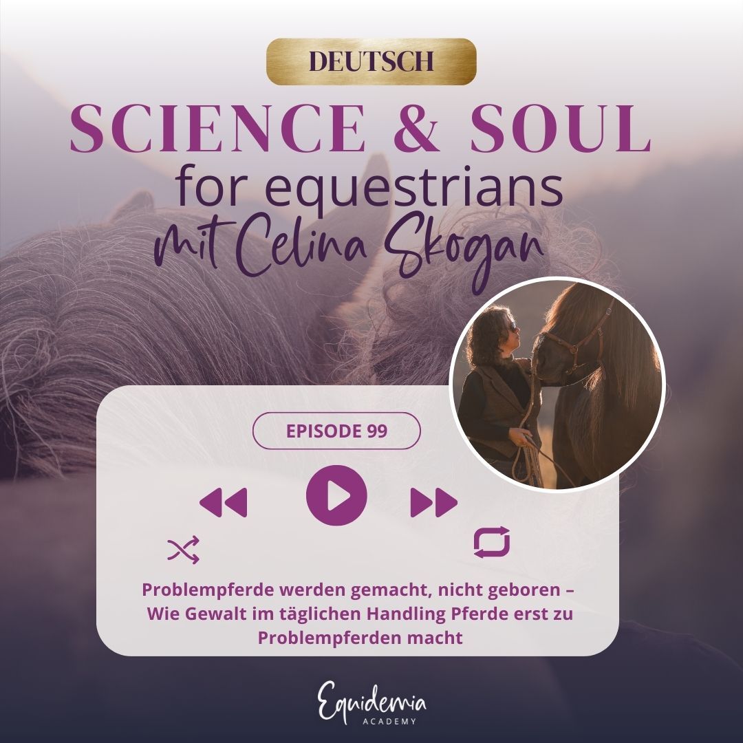 Problempferde werden gemacht, nicht geboren – Wie Gewalt im täglichen Handling Pferde erst zu Problempferden macht
