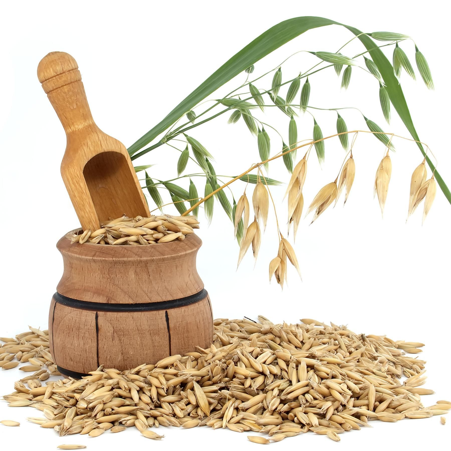 Produkte aus Hafer - Eine gute Alternative?