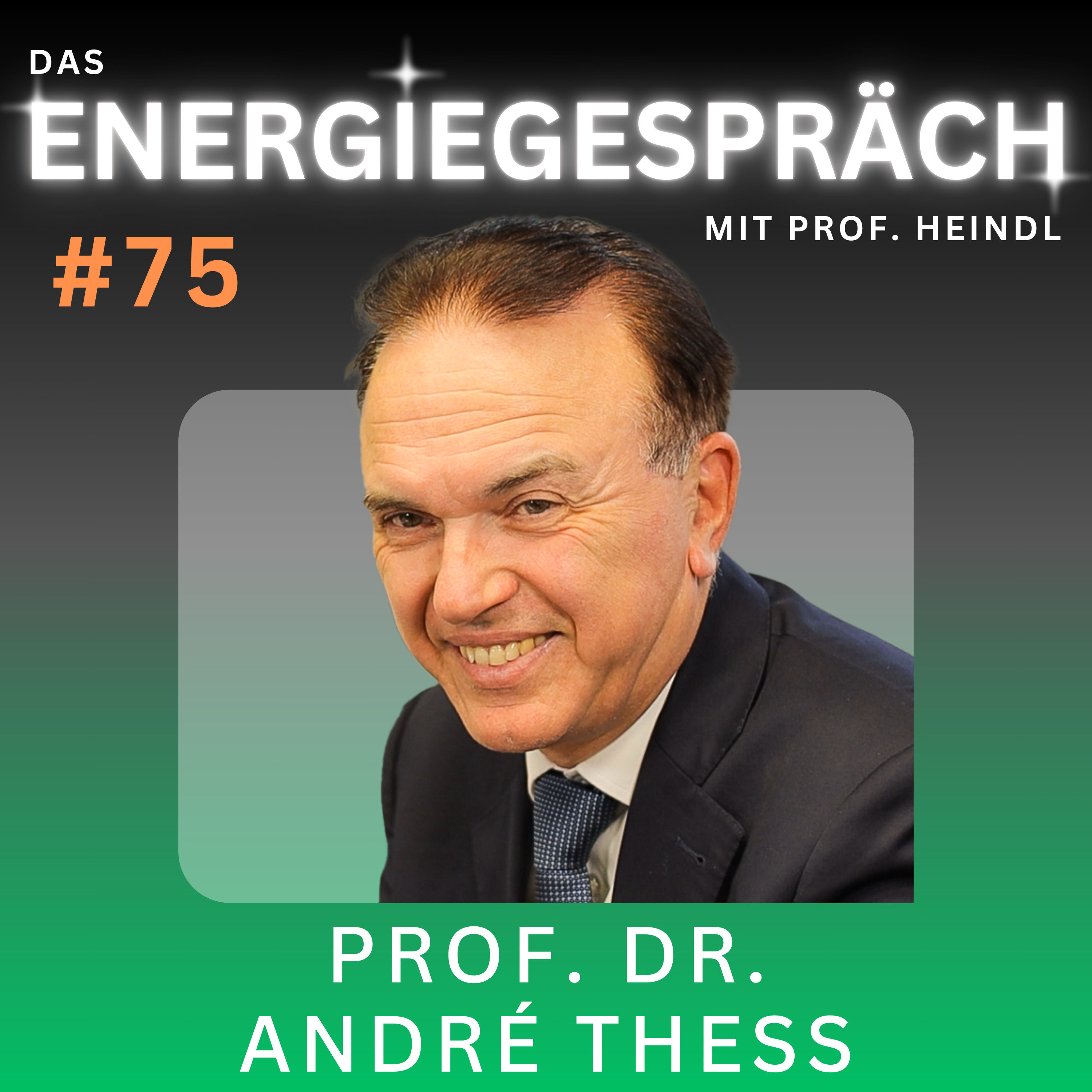 Prof. Dr. André Thess: Wirkungsgrad, Bürokratie, Thermodynamik | Eduard Heindl Energiegespräch #075