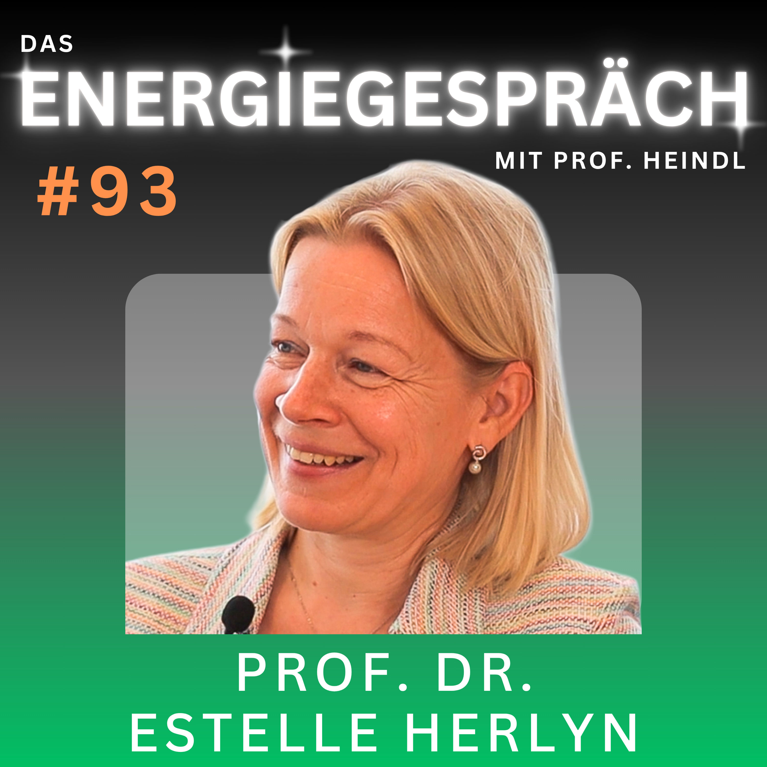 Prof. Dr. Estelle Herlyn: Energiepolitik, Zielkonflikte, Gandhi | Eduard Heindl Energiegespräch #093