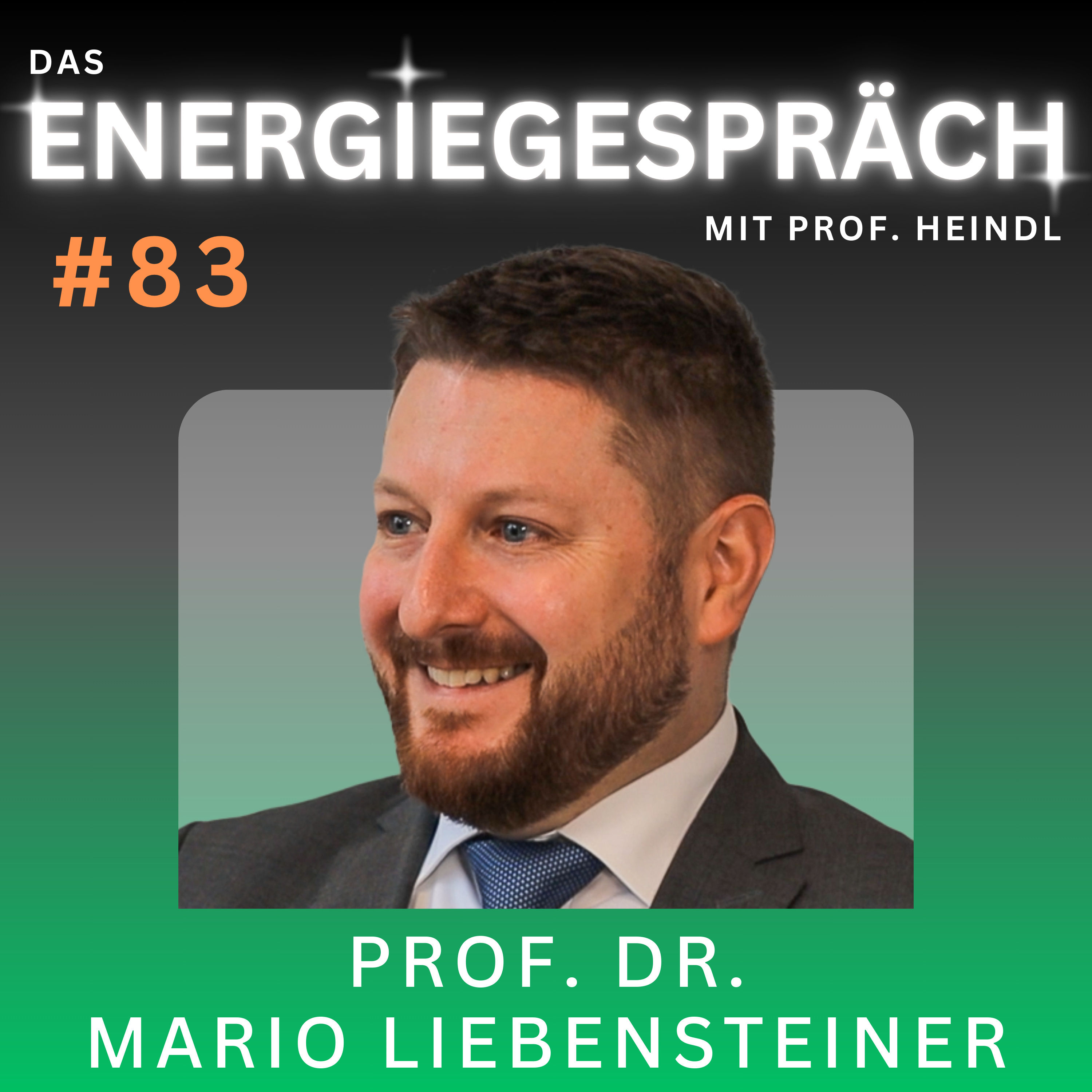 Prof. Dr. Mario Liebensteiner: Strompreis, Markt, CO₂ Preis | Eduard Heindl Energiegespräch #083