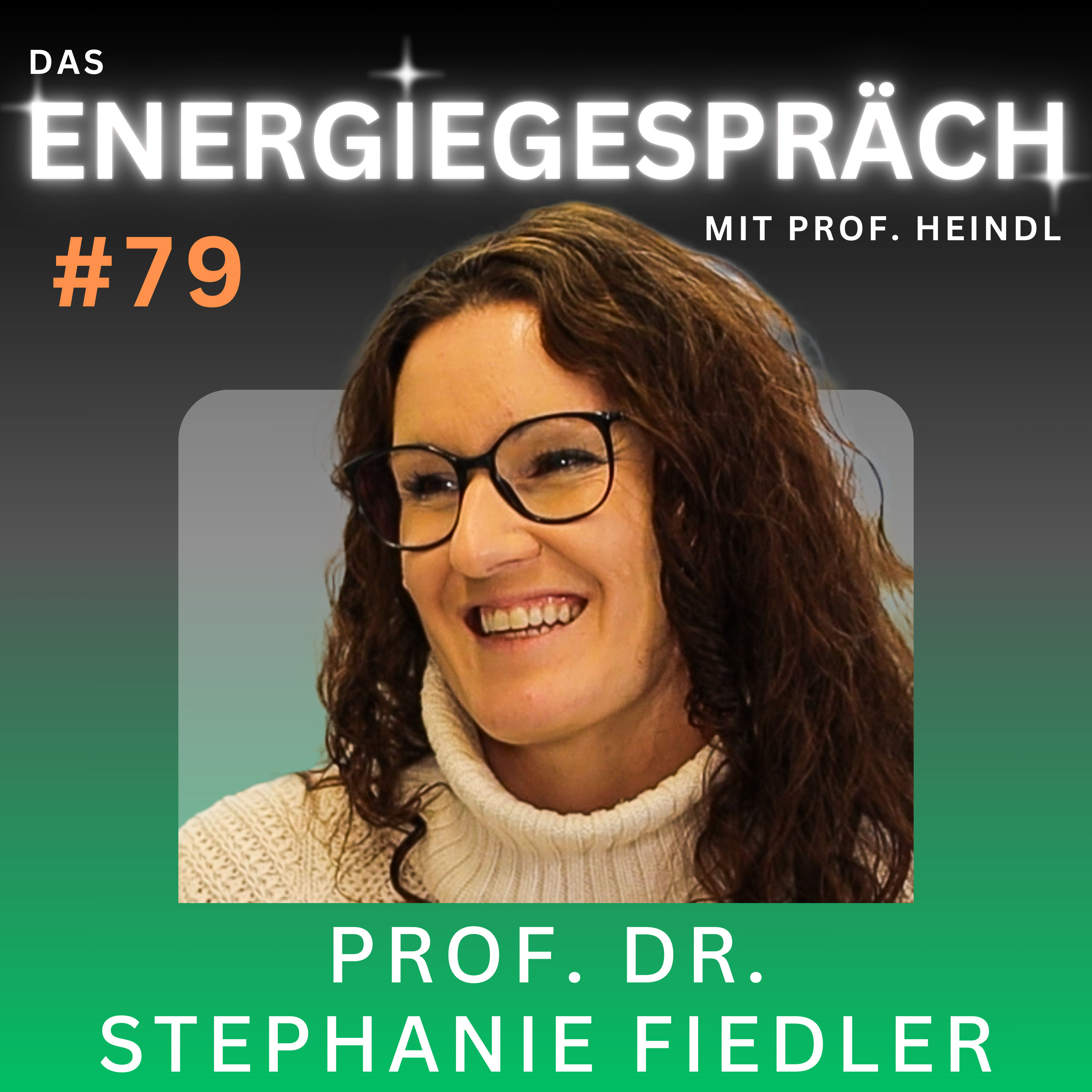 Prof. Dr. Stephanie Fiedler: Aerosole, Saharastaub, Klima, Meer | Eduard Heindl Energiegespräch #079