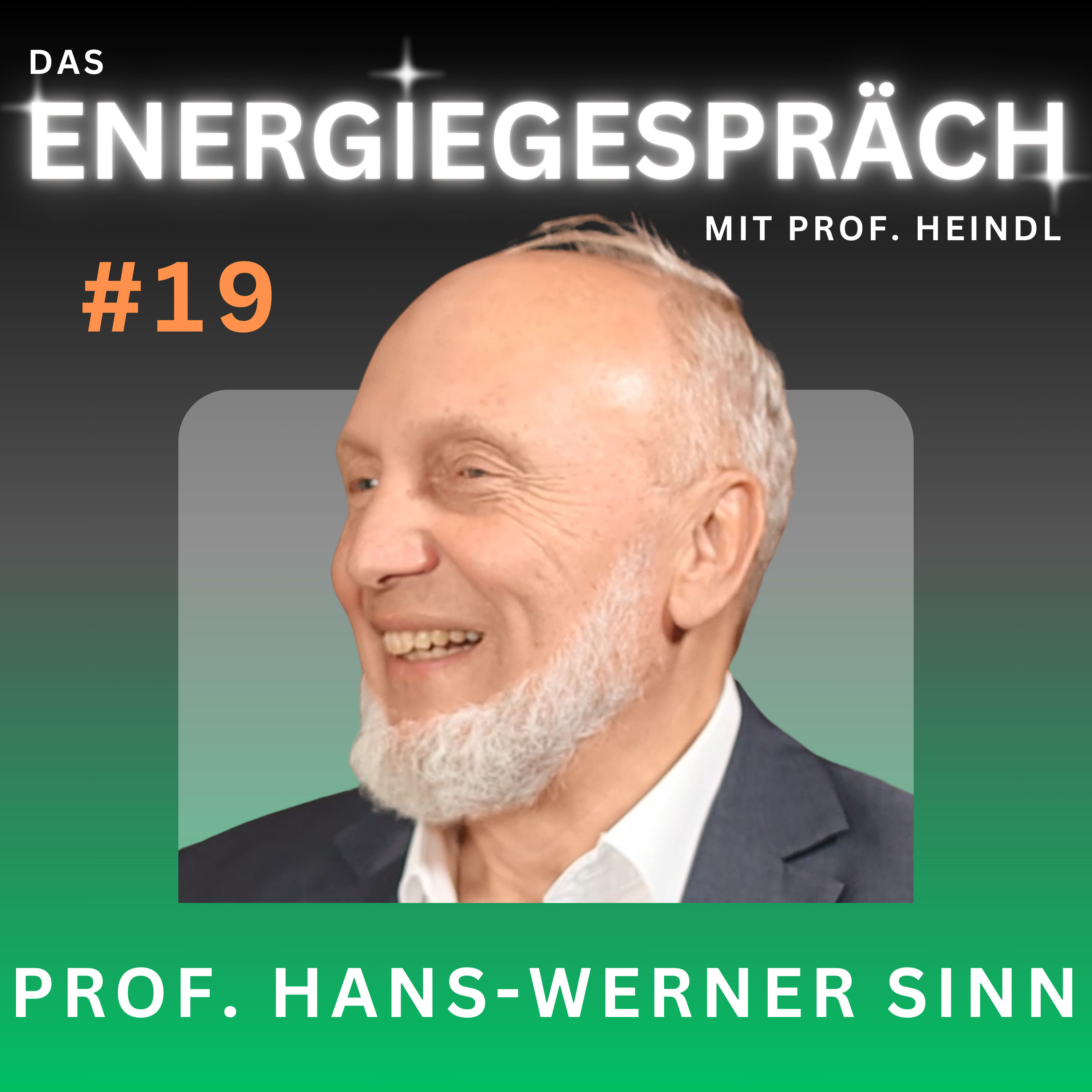 Prof. Hans-Werner Sinn: Energiepreis, Grünes Paradoxon, CO₂ | Eduard Heindl Energiegespräch #019