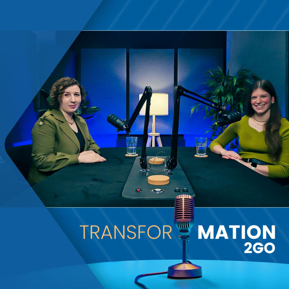 Projektleitung & PMO: Das unsichtbare Erfolgsduo jeder Transformation