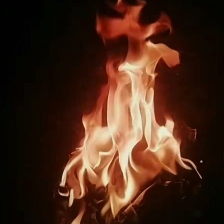 Prophetie im besten Sinne des Wortes? Ja, bitte!