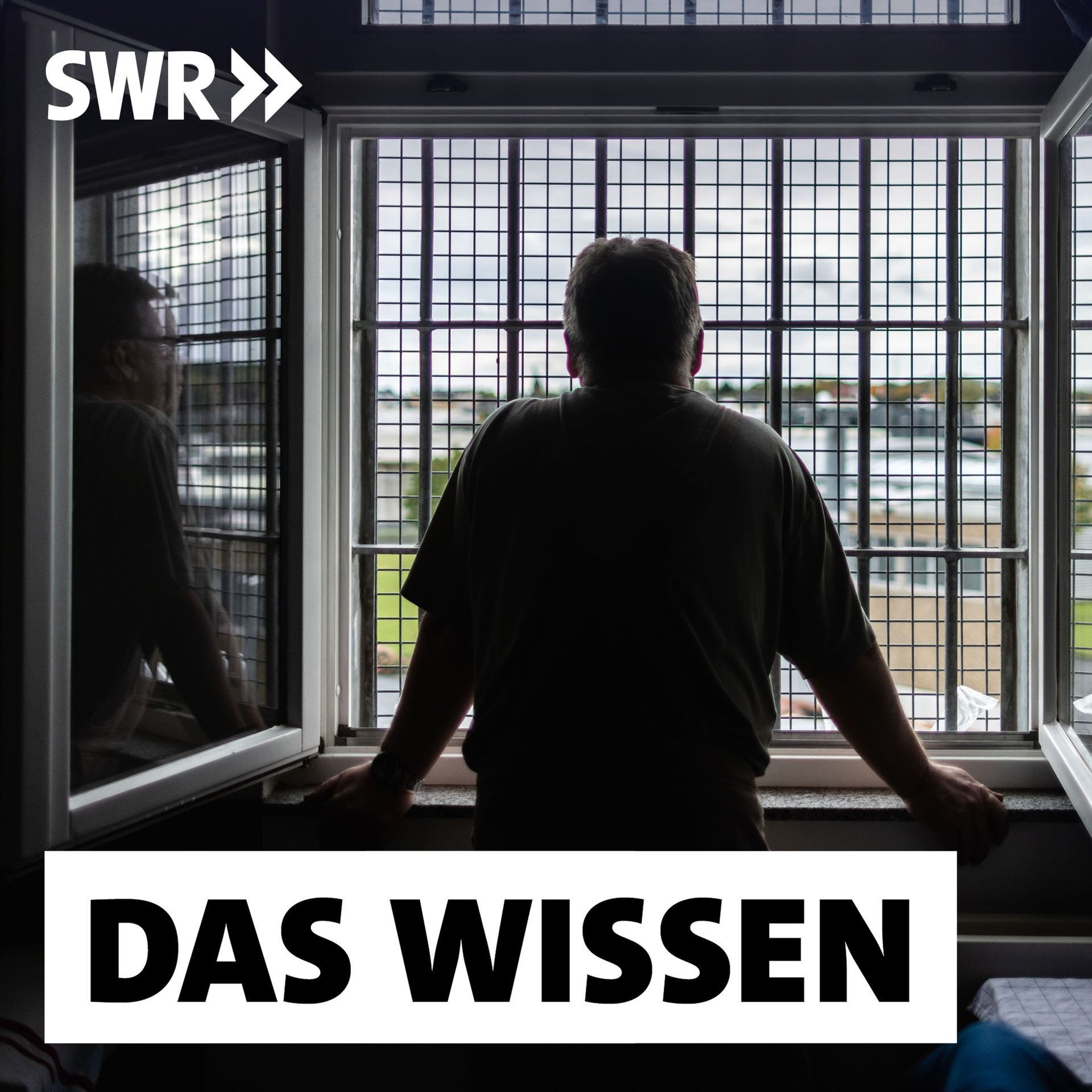 Psychisch krank im Gefängnis – Wie Therapien Suizide und Rückfälle verhindern könnten
