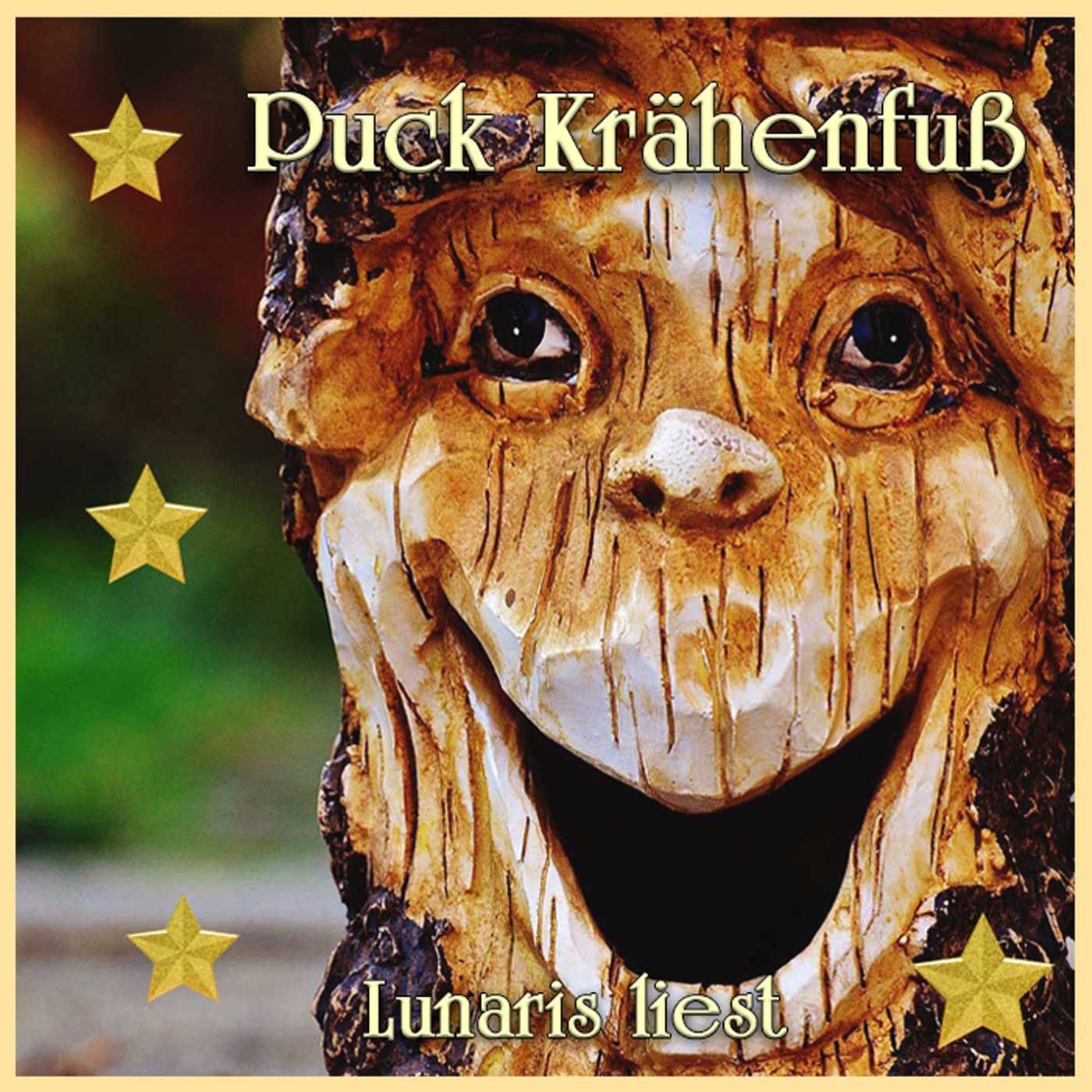 Puck Krähenfuß - Ein Kobold kämpft für die Liebe - Weihnachtsspecial | Lunaris liest
