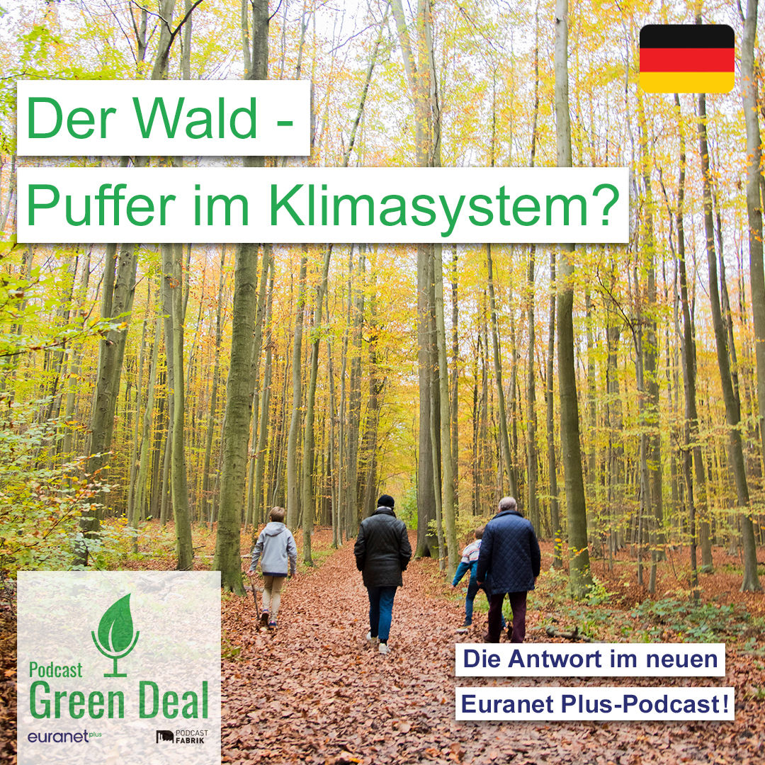 Puffer für den Klimaschutz - unser Wald