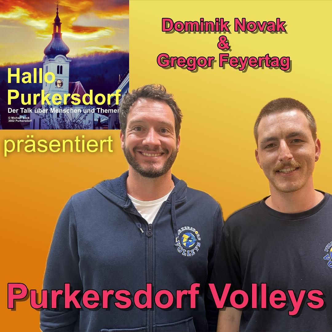 Purkersdorf Volleys