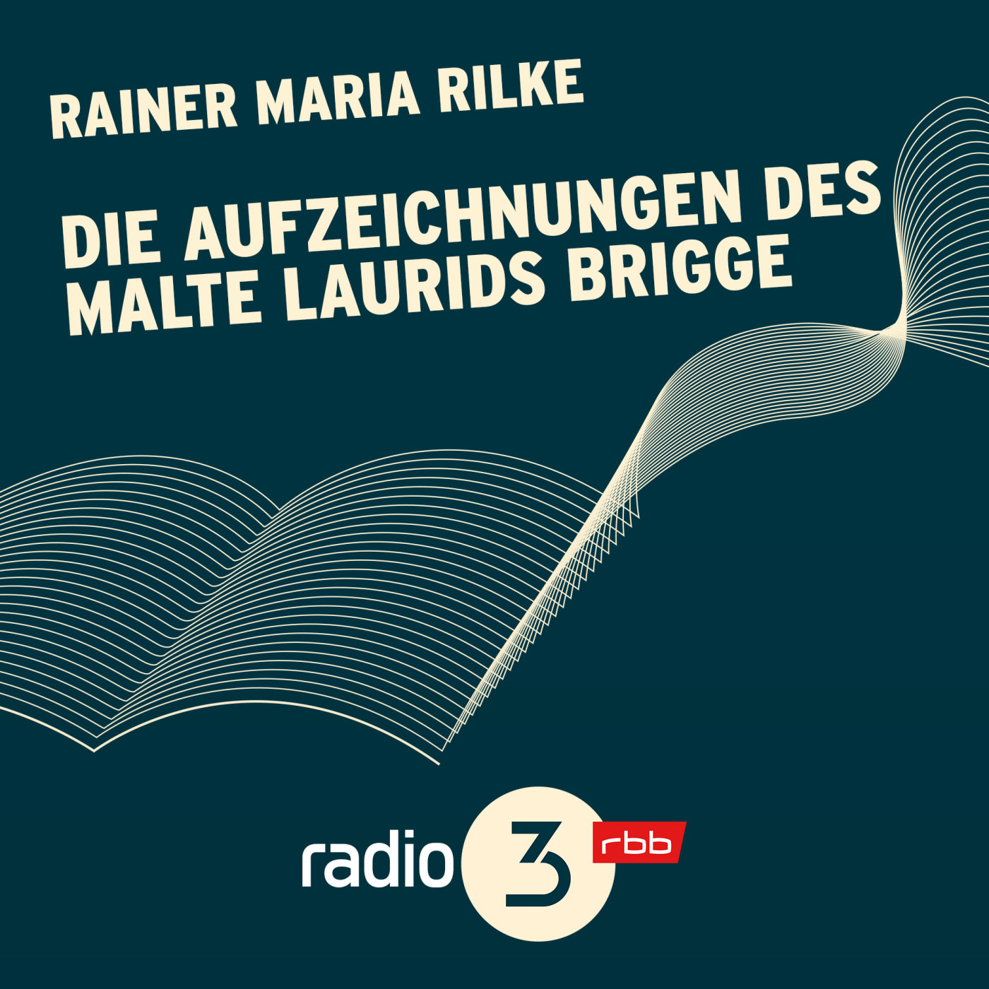 Rainer Maria Rilke: Die Aufzeichnungen des Malte Laurids Brigge (24/24)
