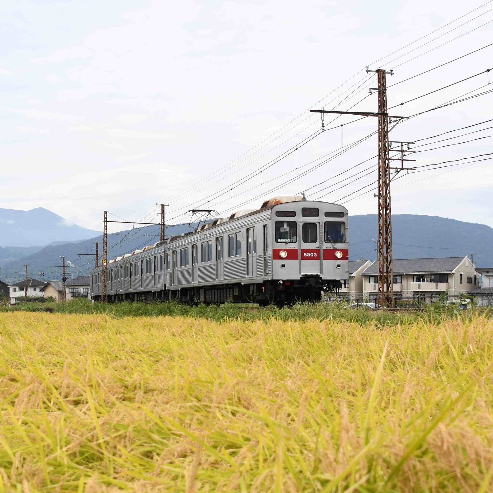 Rasende Züge und Reisfelder - Eisenbahnen in Japan