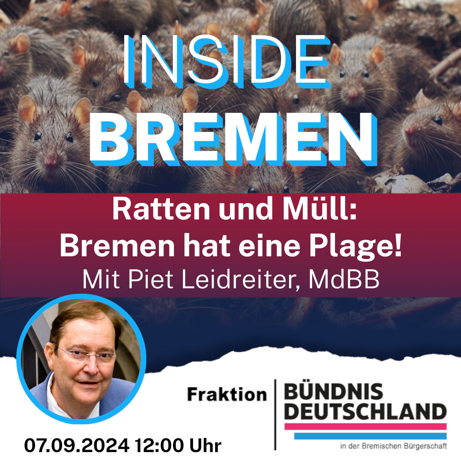 Ratten und Müll: Bremen hat eine Plage!
