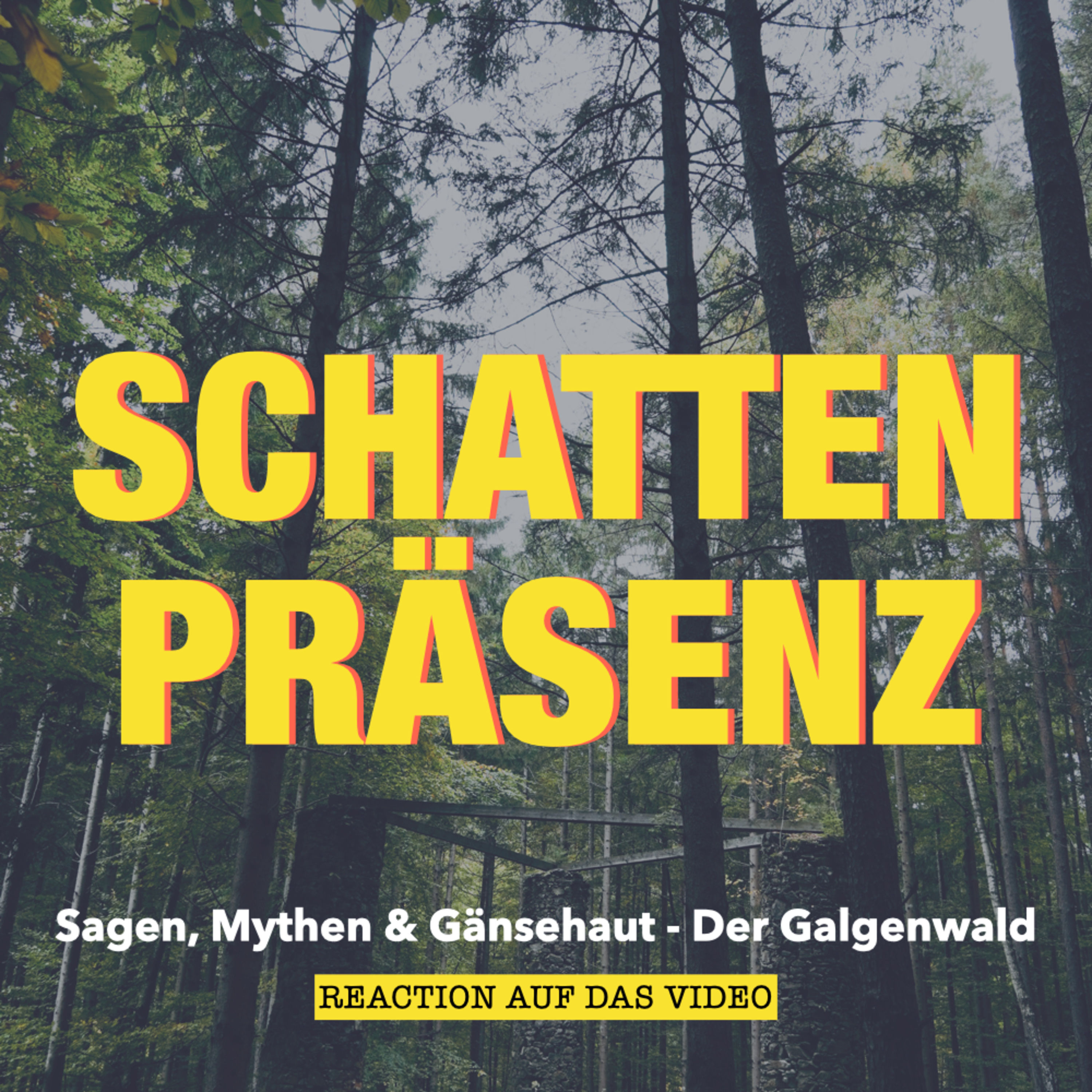 REACTION: Sagen, Mythen & Gänsehaut - Der Galgenwald
