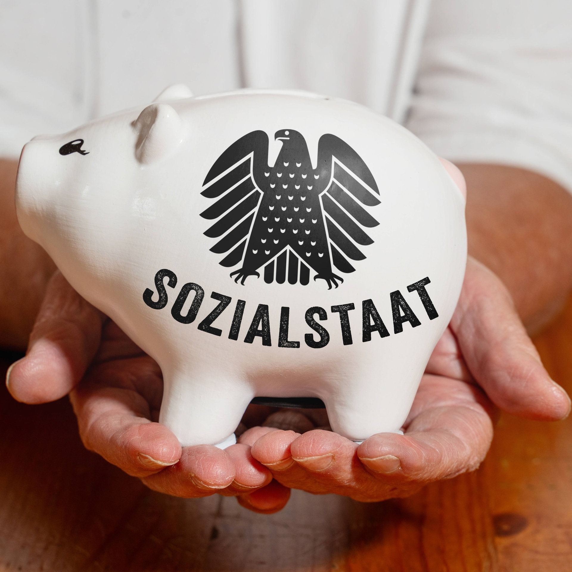 Reform des Sozialstaats – Was können wir uns noch leisten?