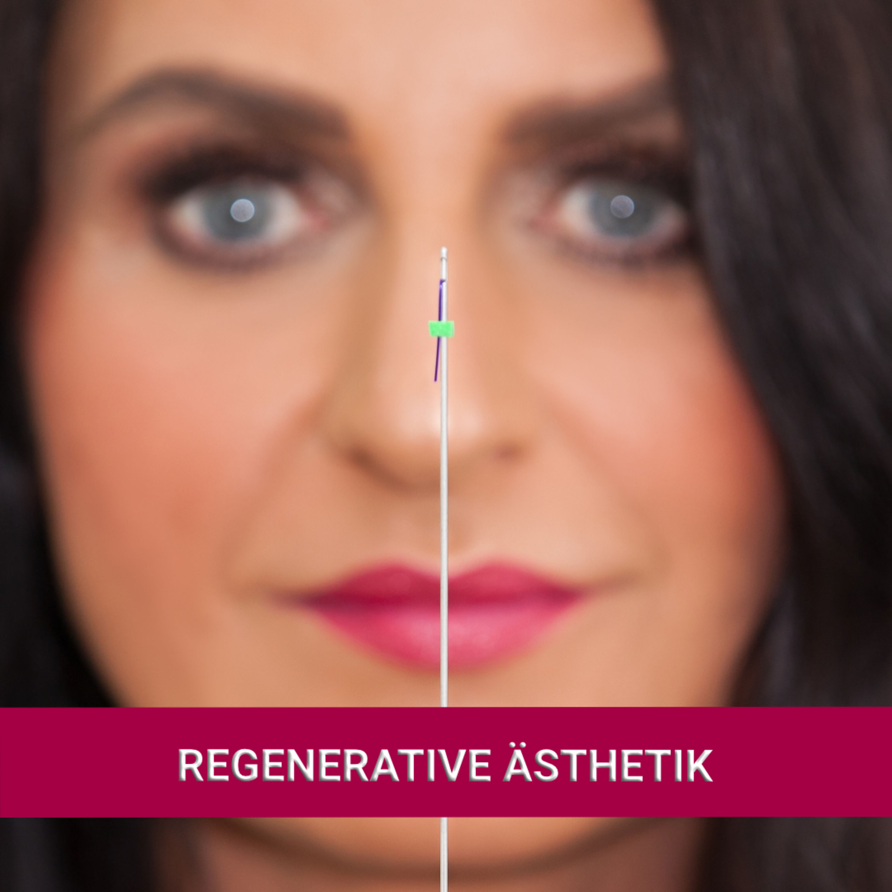 Regenerative Ästhetik