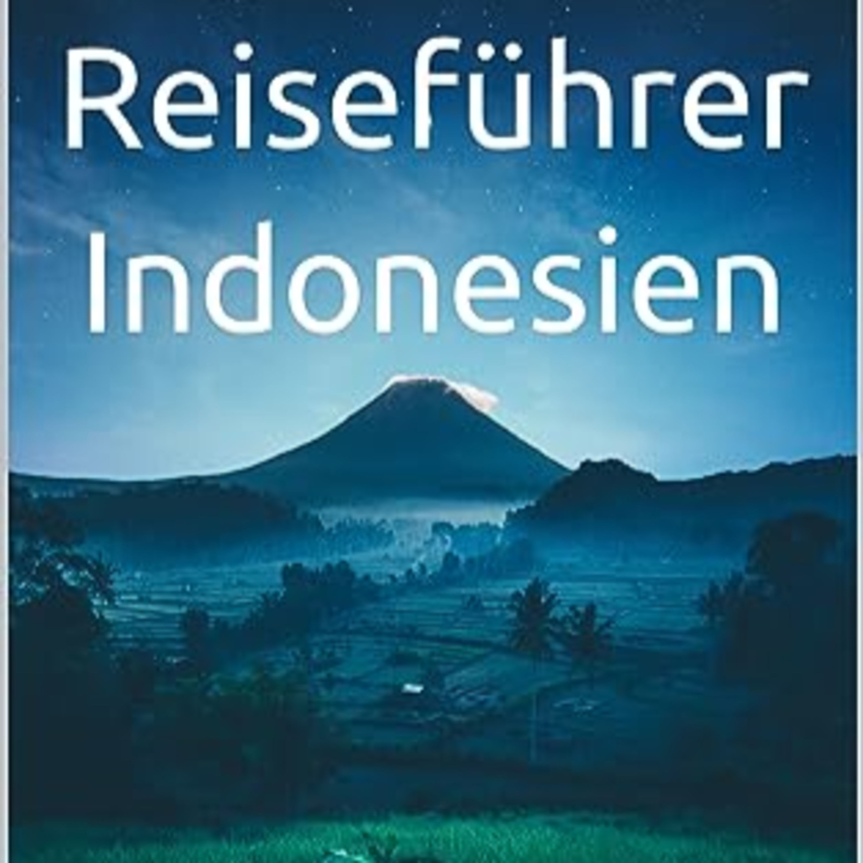 Reiseführer Indonesien