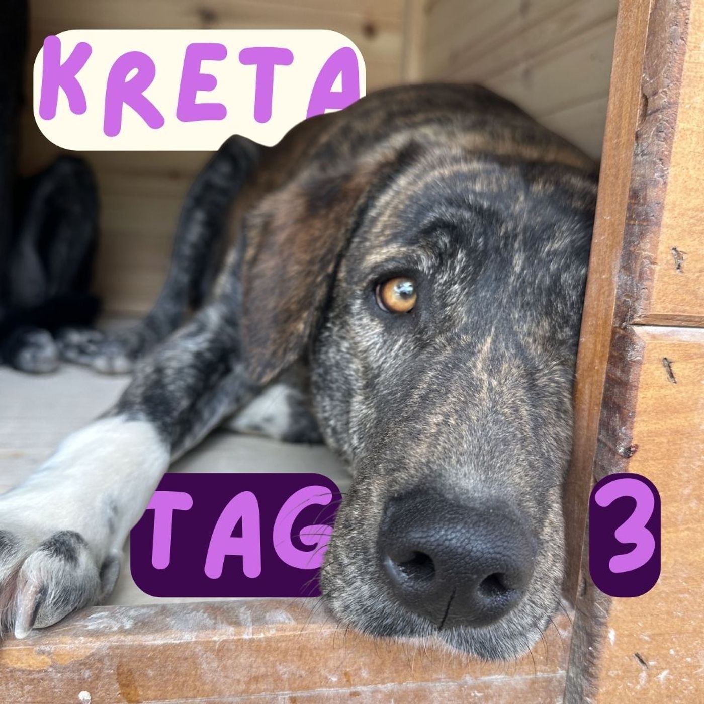 Reisetagebuch Kreta: Tag DREI