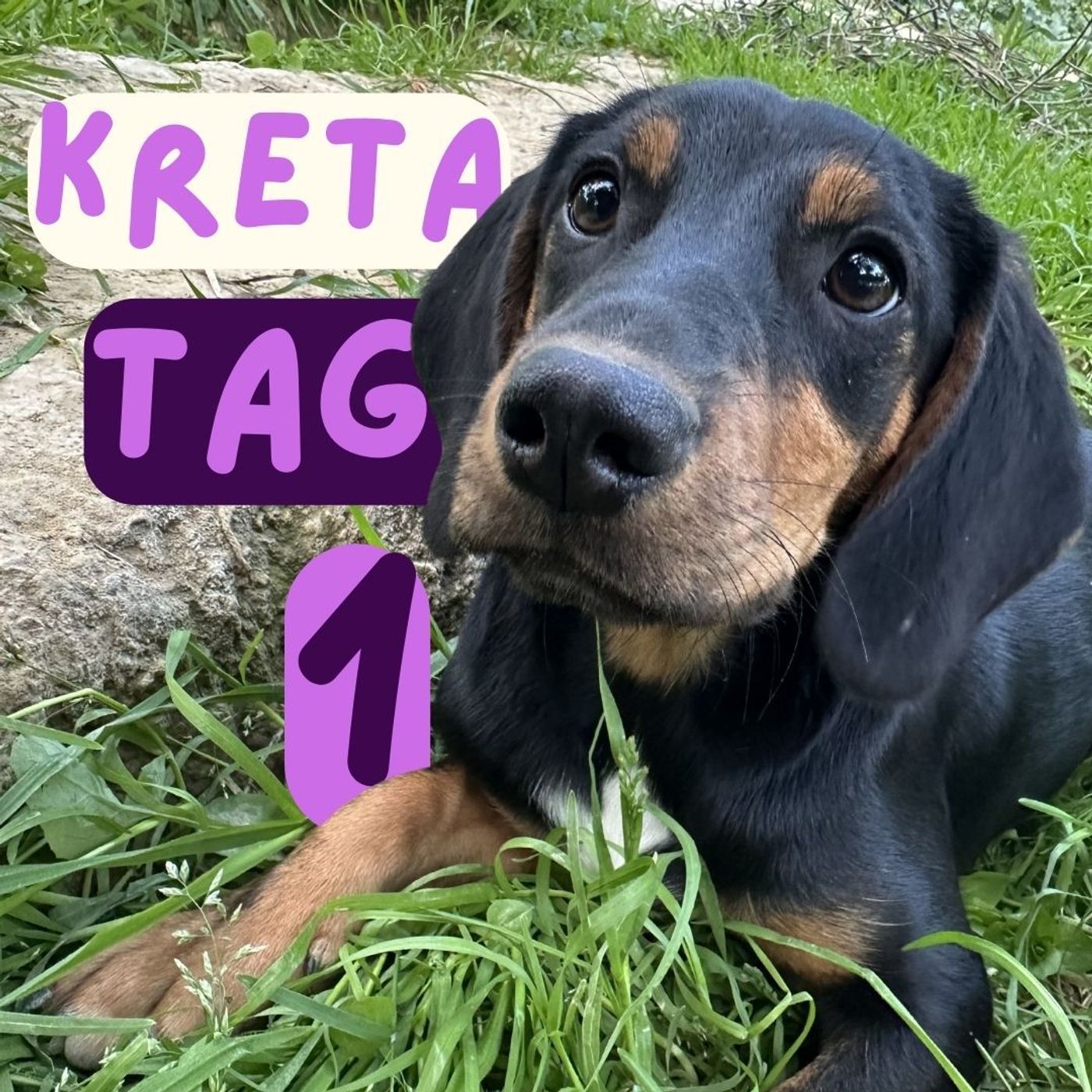Reisetagebuch Kreta: Tag EINS