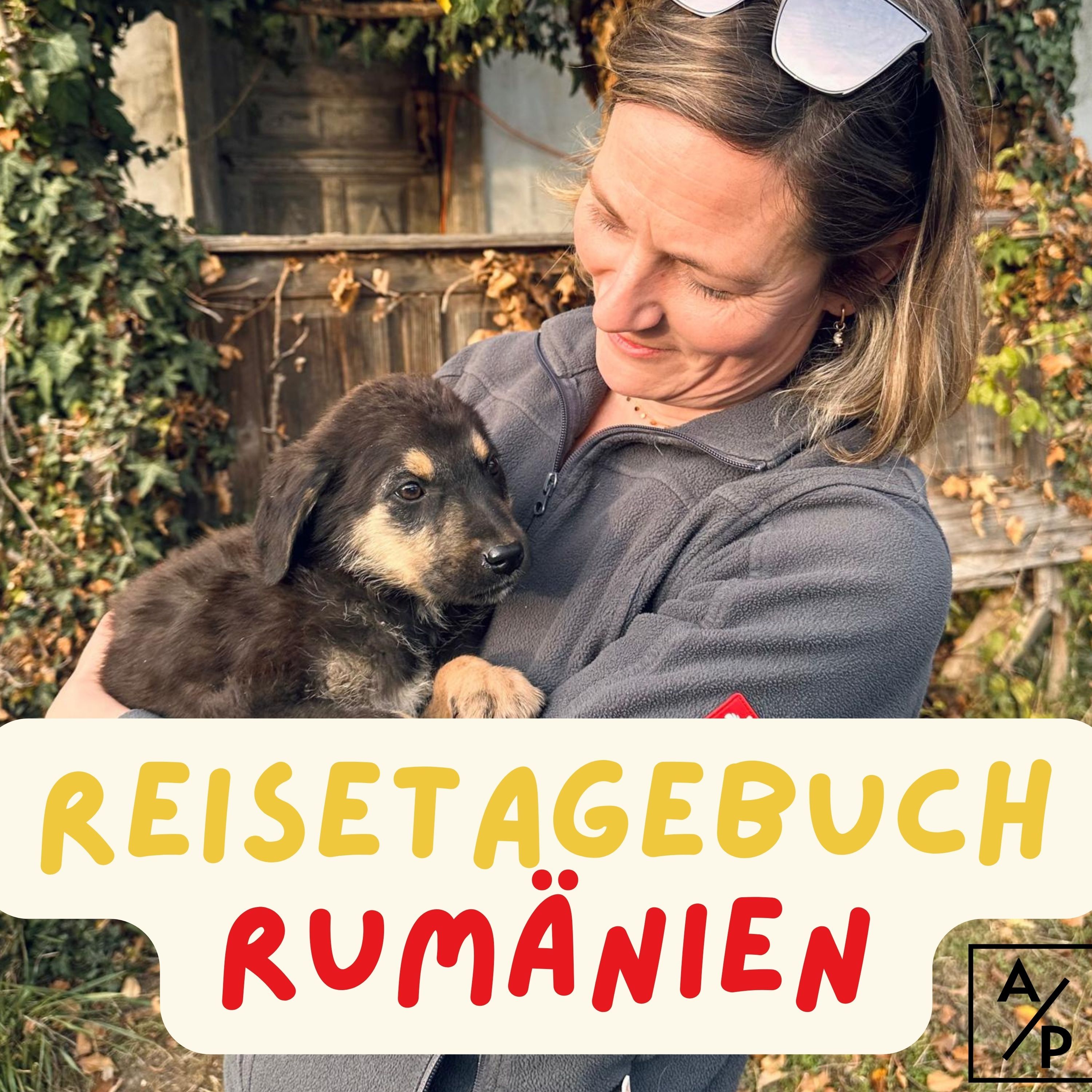 Reisetagebuch Rumänien: Tag DREI
