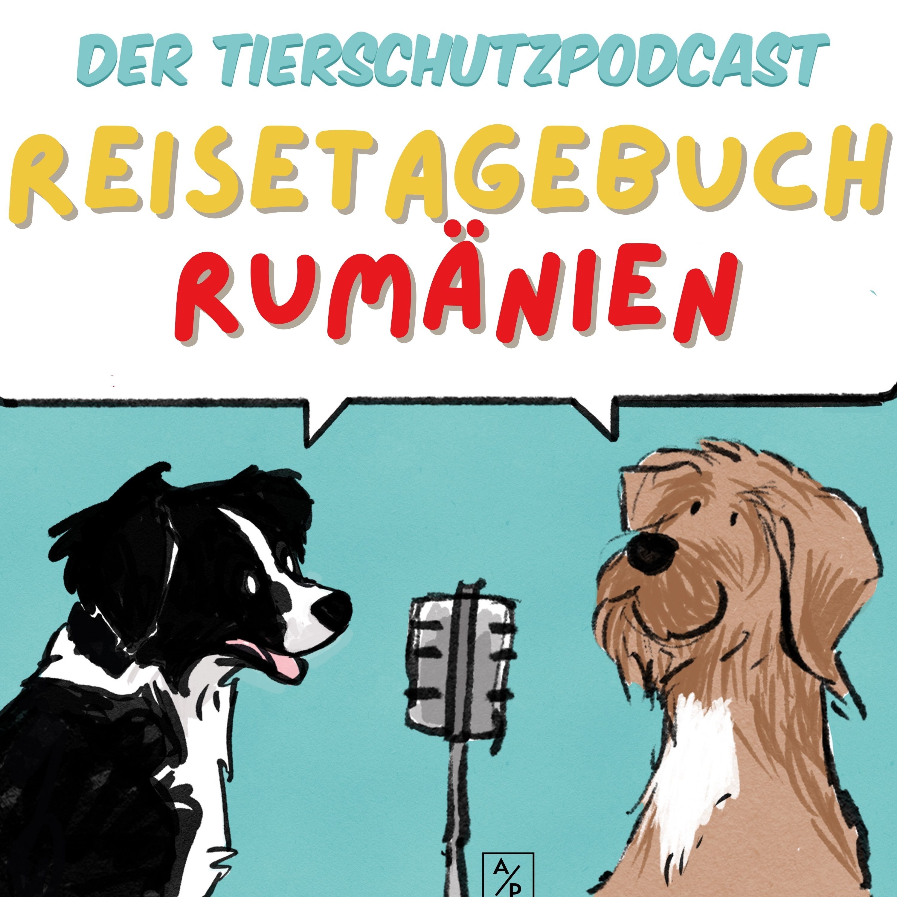 Reisetagebuch Rumänien: Tag EINS