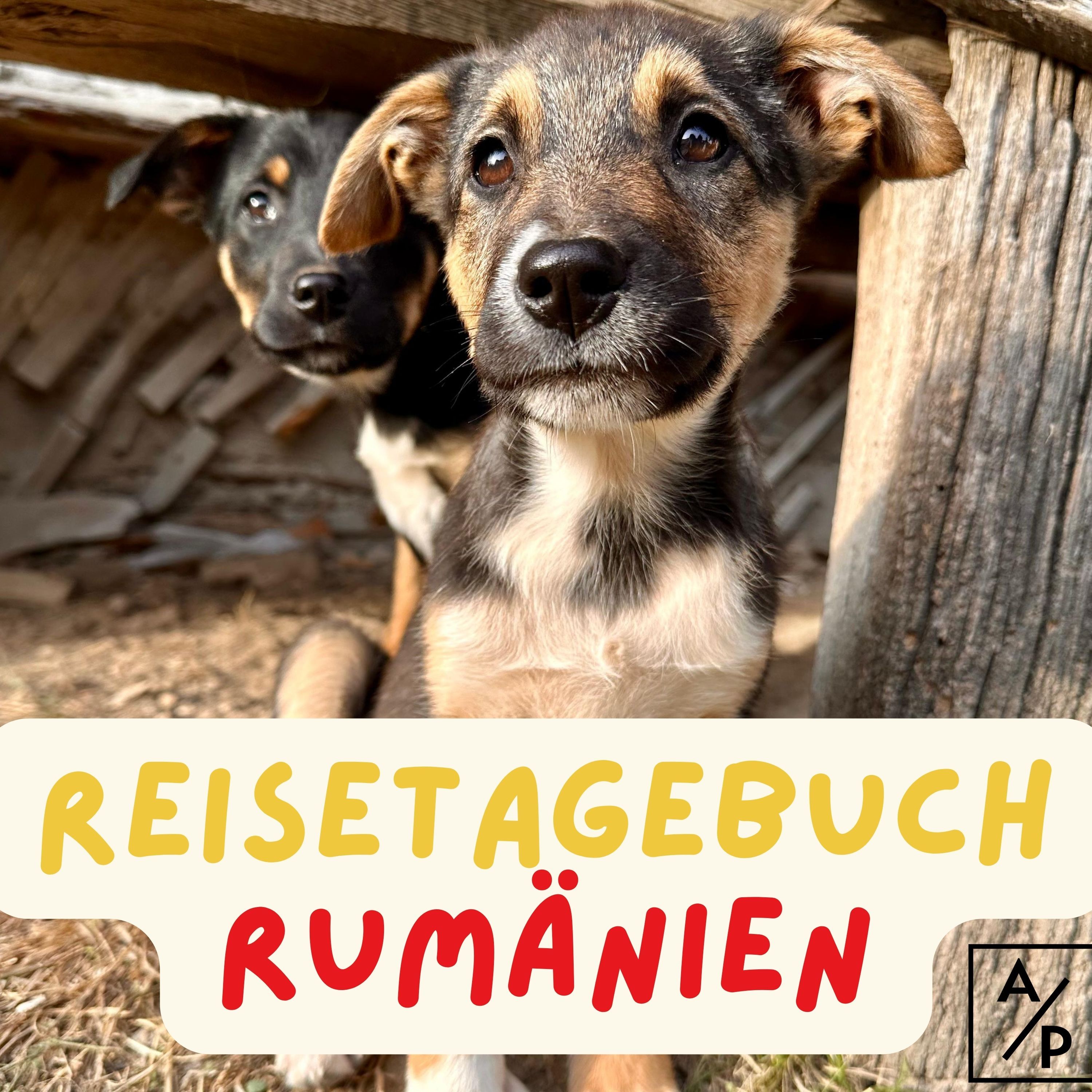 Reisetagebuch Rumänien: Tag ZWEI