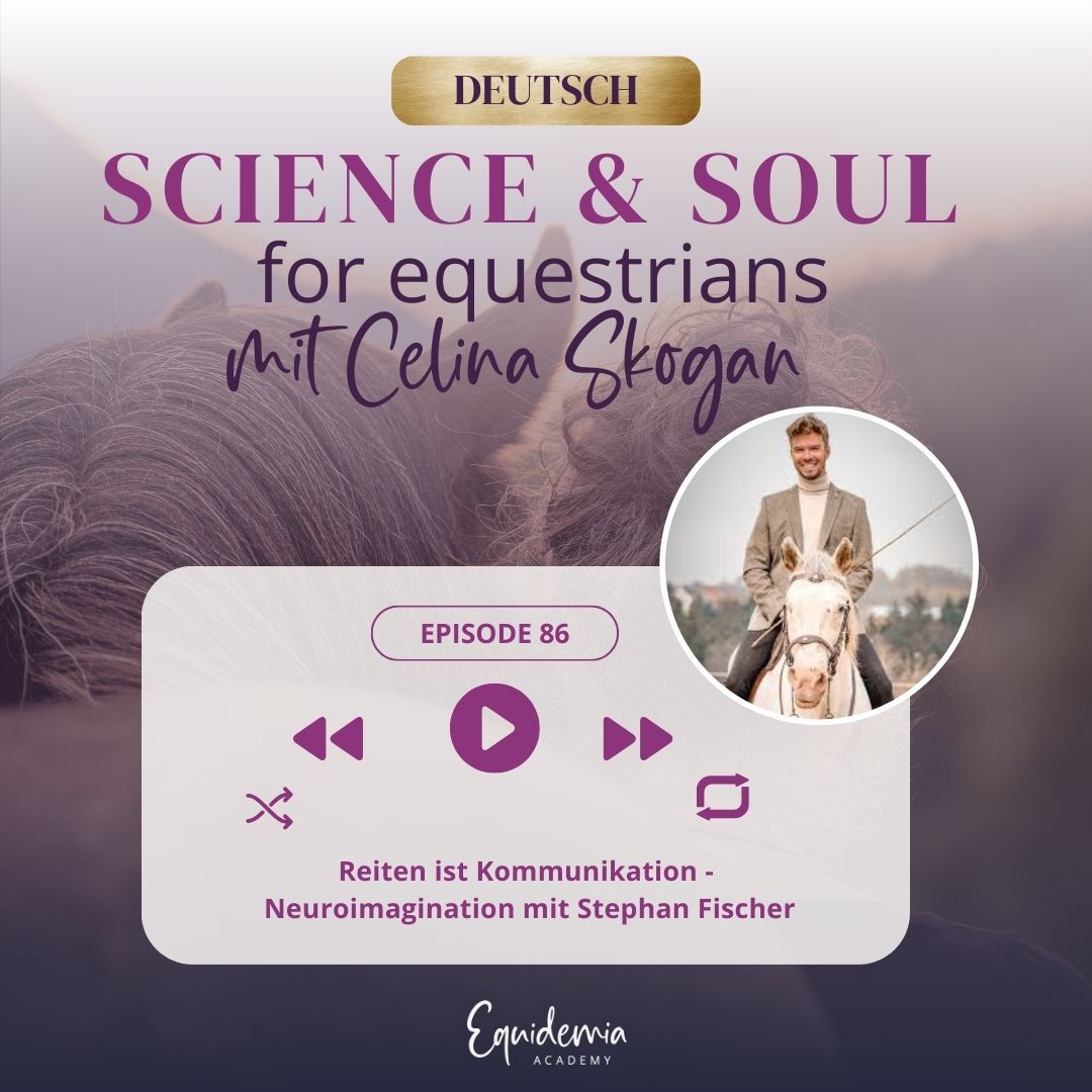 Reiten ist Kommunikation - Neuroimagination mit Stephan Fischer