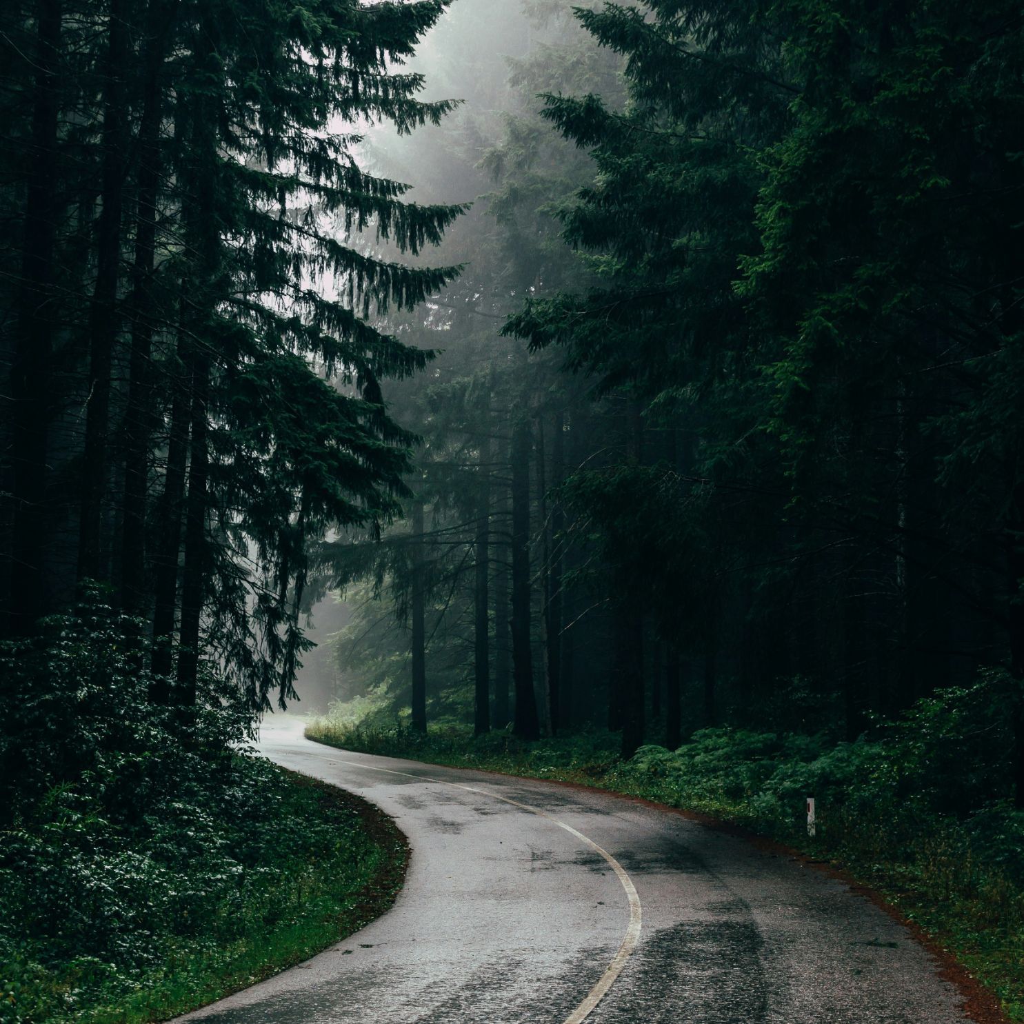 Relaxation music Rain *Nature sounds *Piano music *Thunder* Lightning*