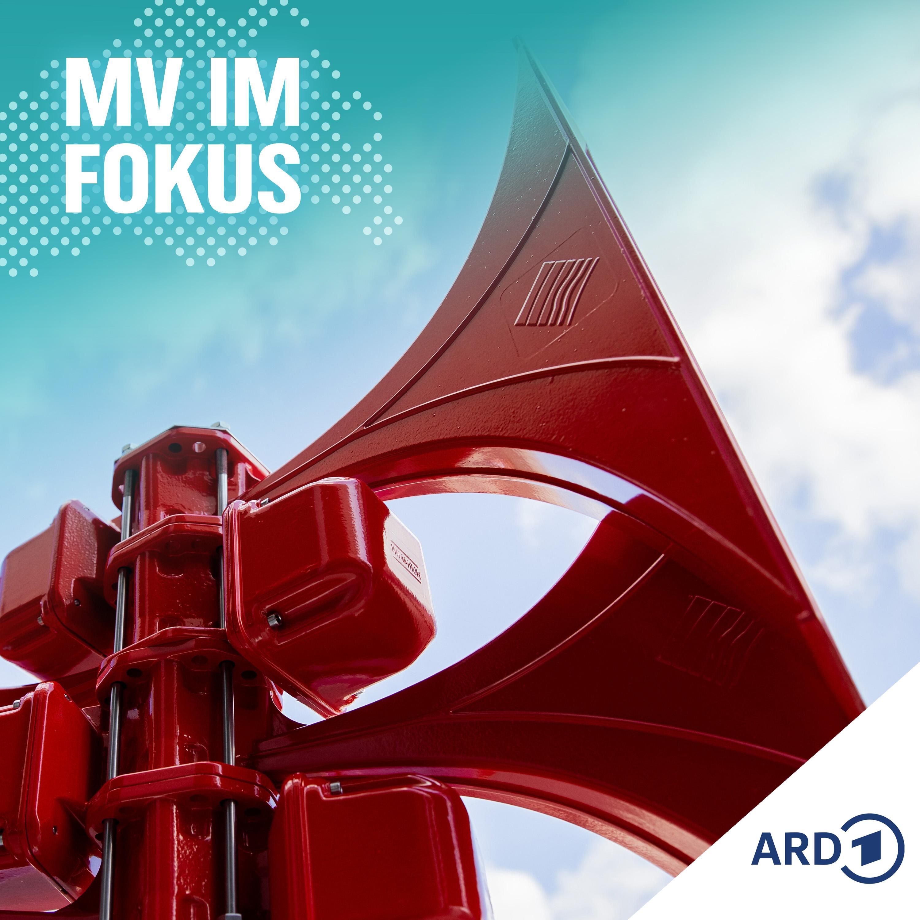 Rette sich wer kann? Zivile Verteidigung im MV-Check