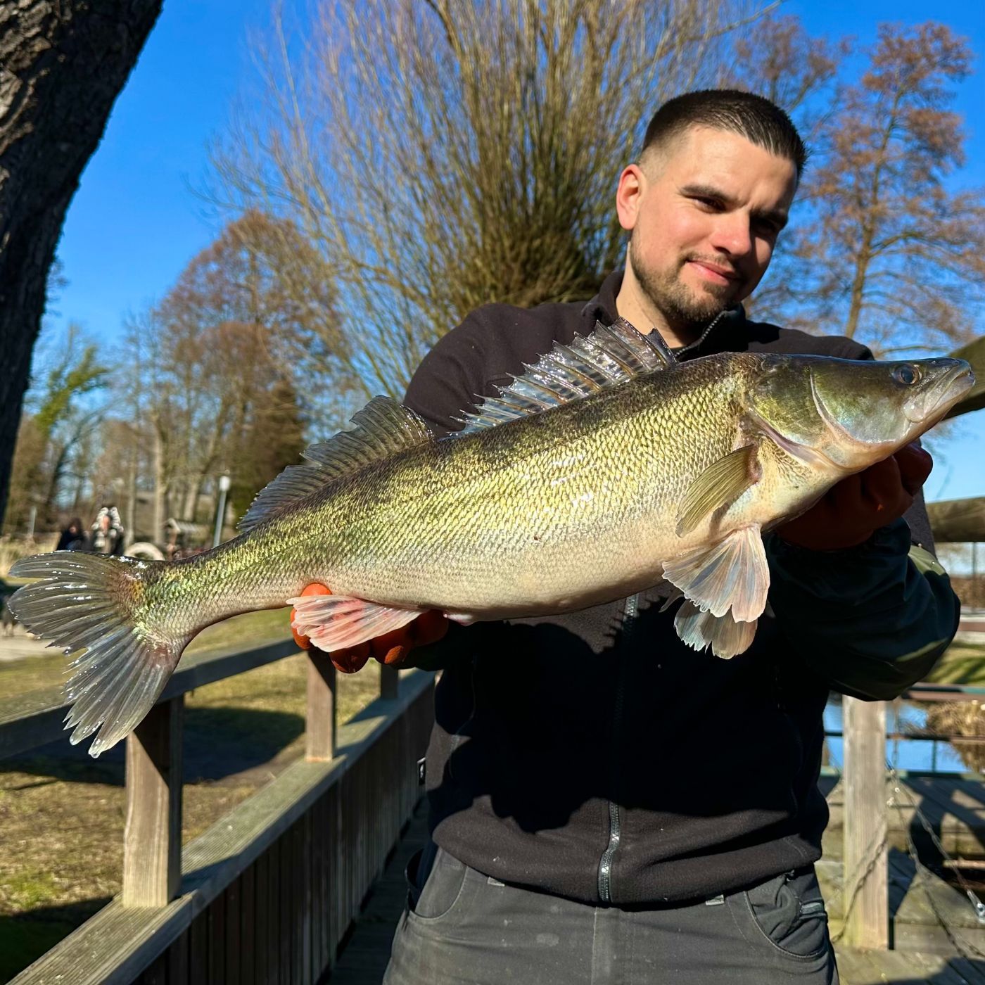 Reuse oder Rolle? - Was fängt mehr? | #171