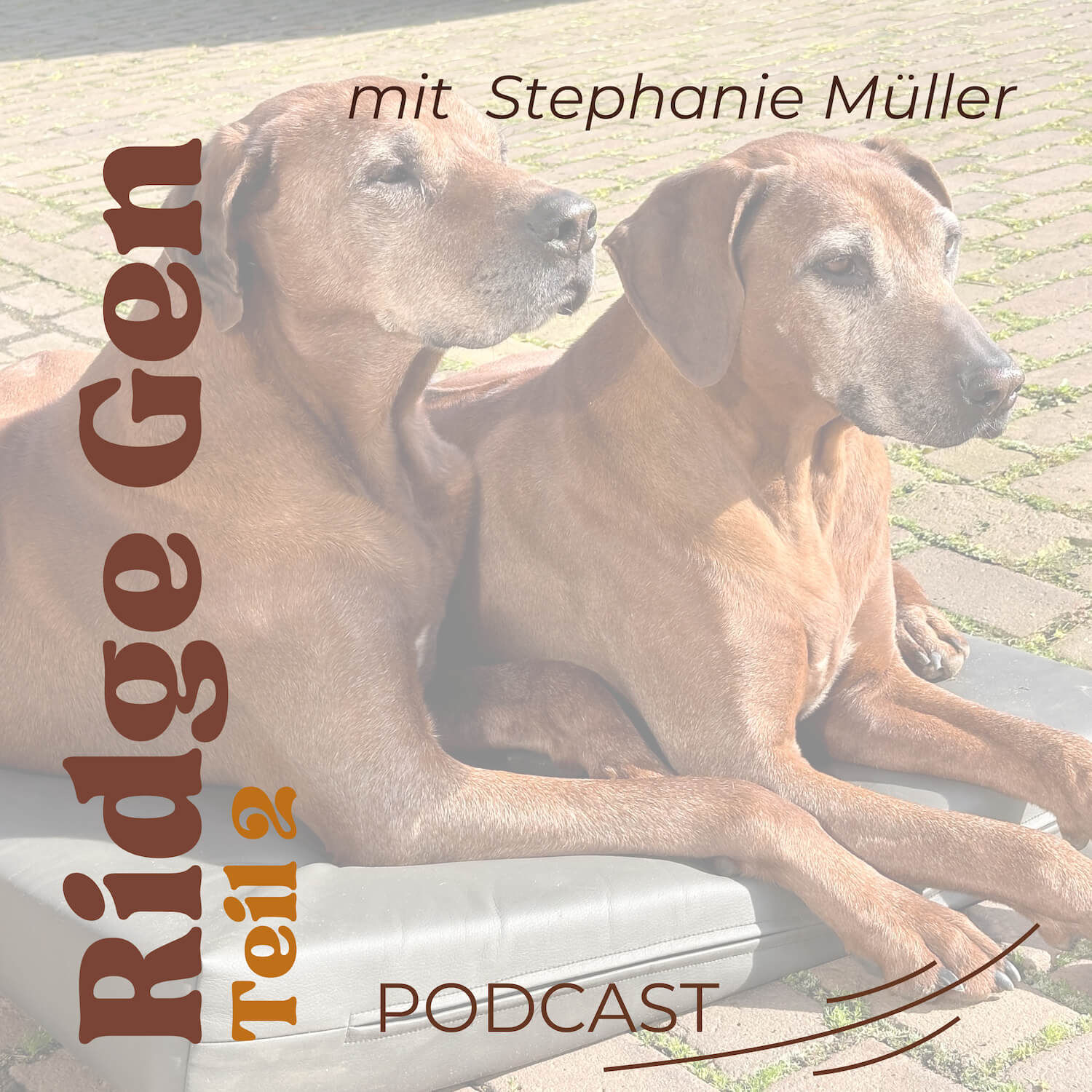 Ridge Gen Teil 2
