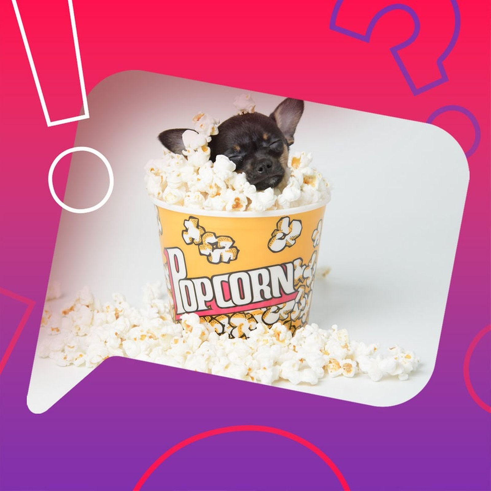 Riechen Hundepfoten nach Popcorn?