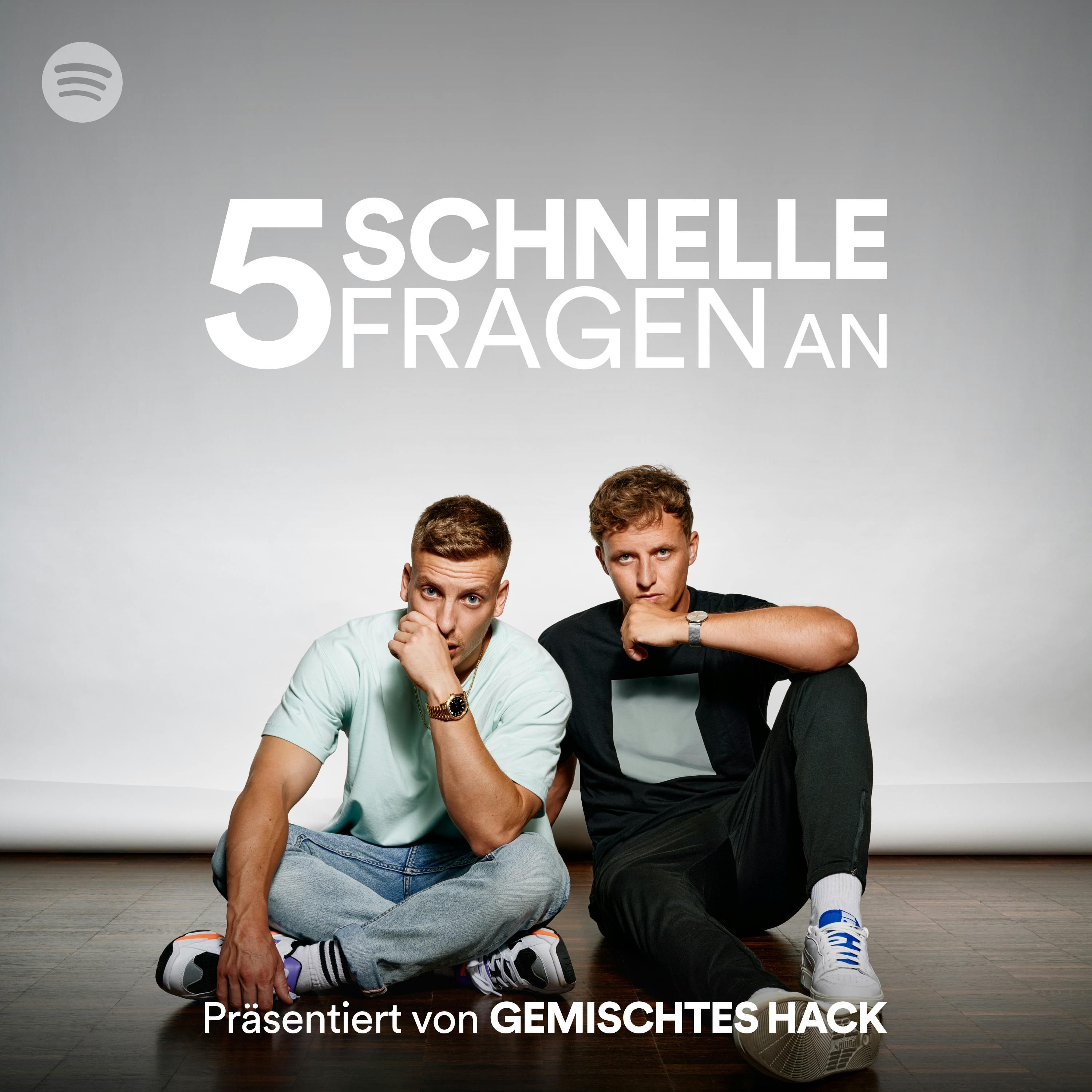 RIN (5 SCHNELLE FRAGEN AN) Gemischtes Hack RTL+