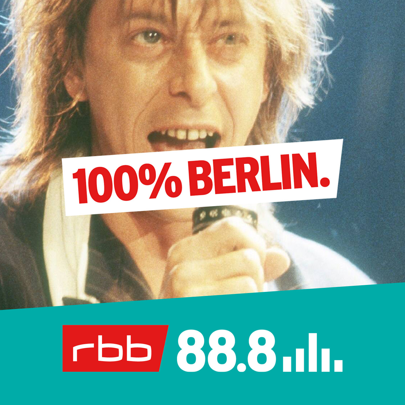 Rio Reiser: Der zerbrechliche König