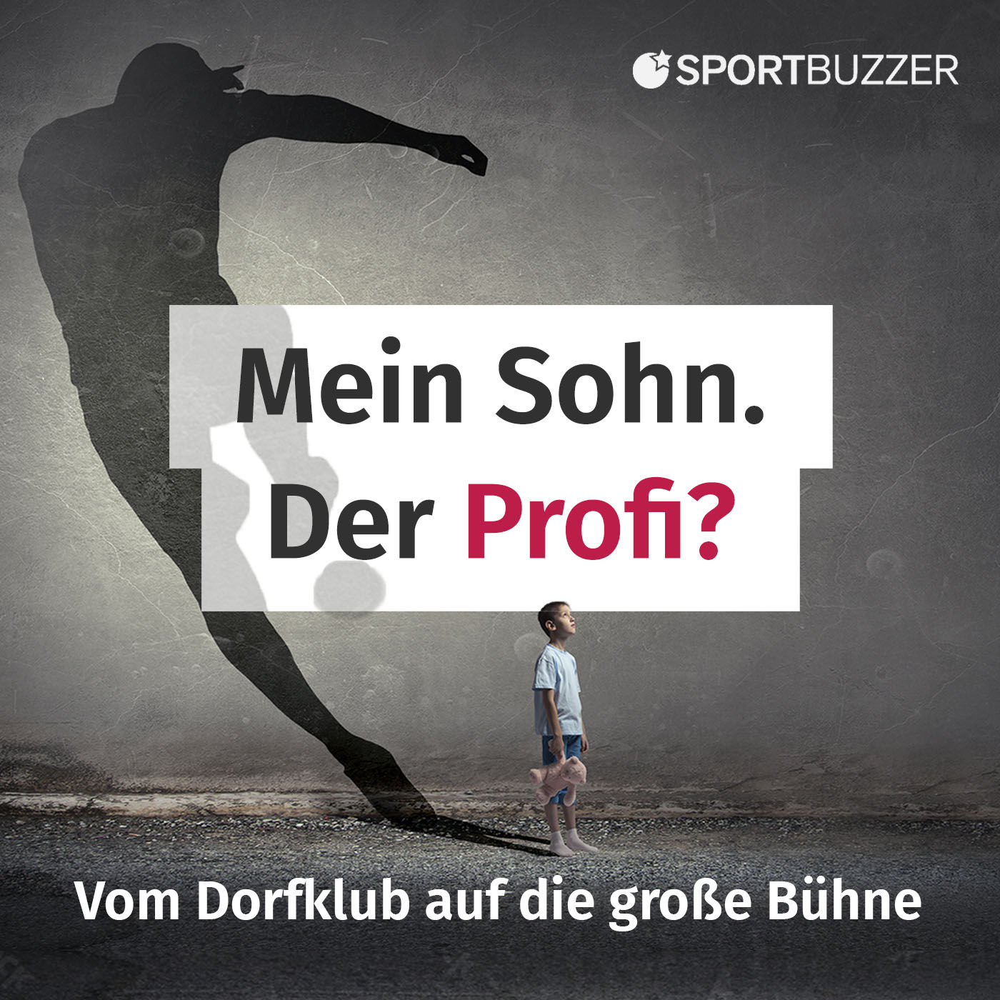 Robin Dutt. Lernen von Island und Vorbild Nagelsmann