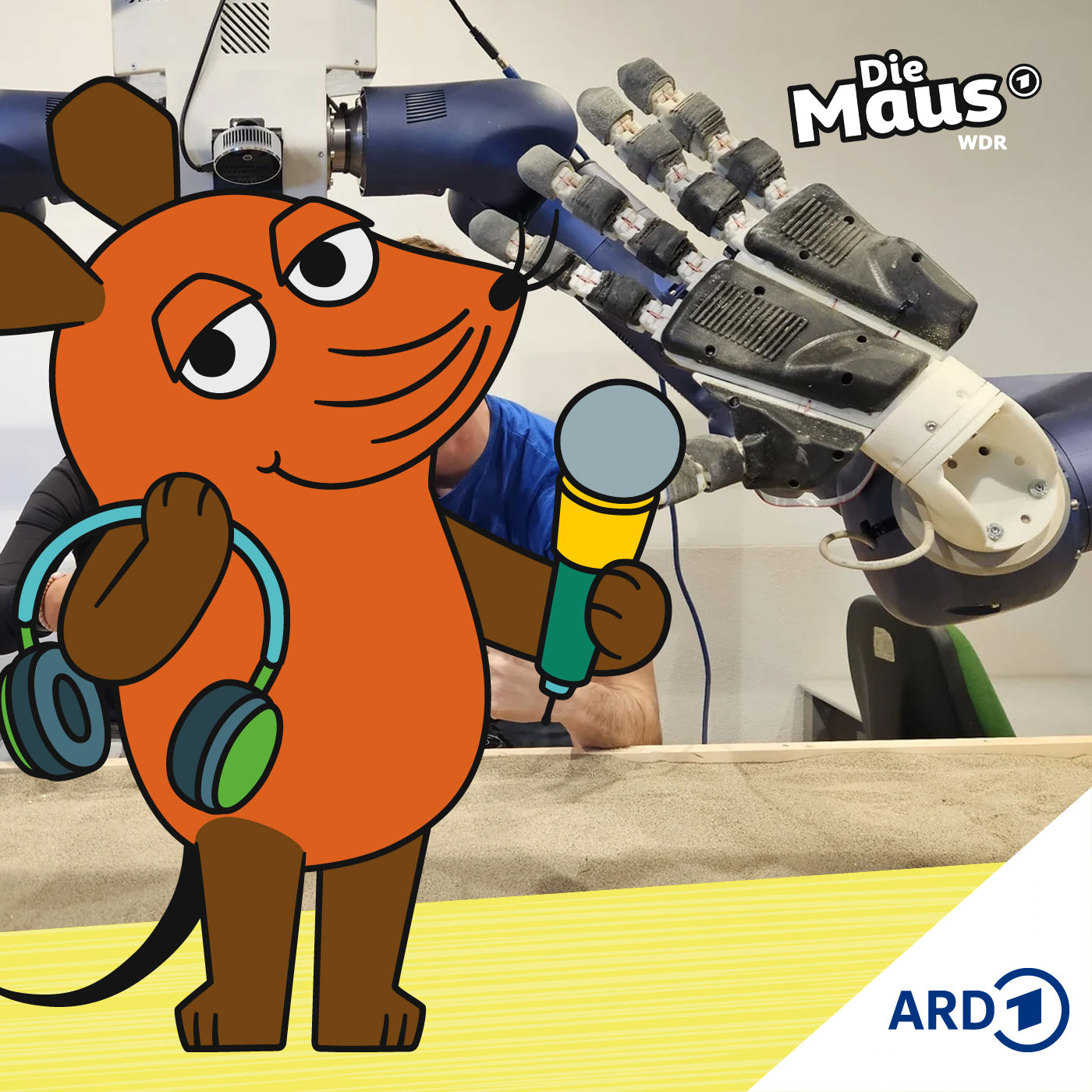 Roboter hilft Forschern beim Puzzeln