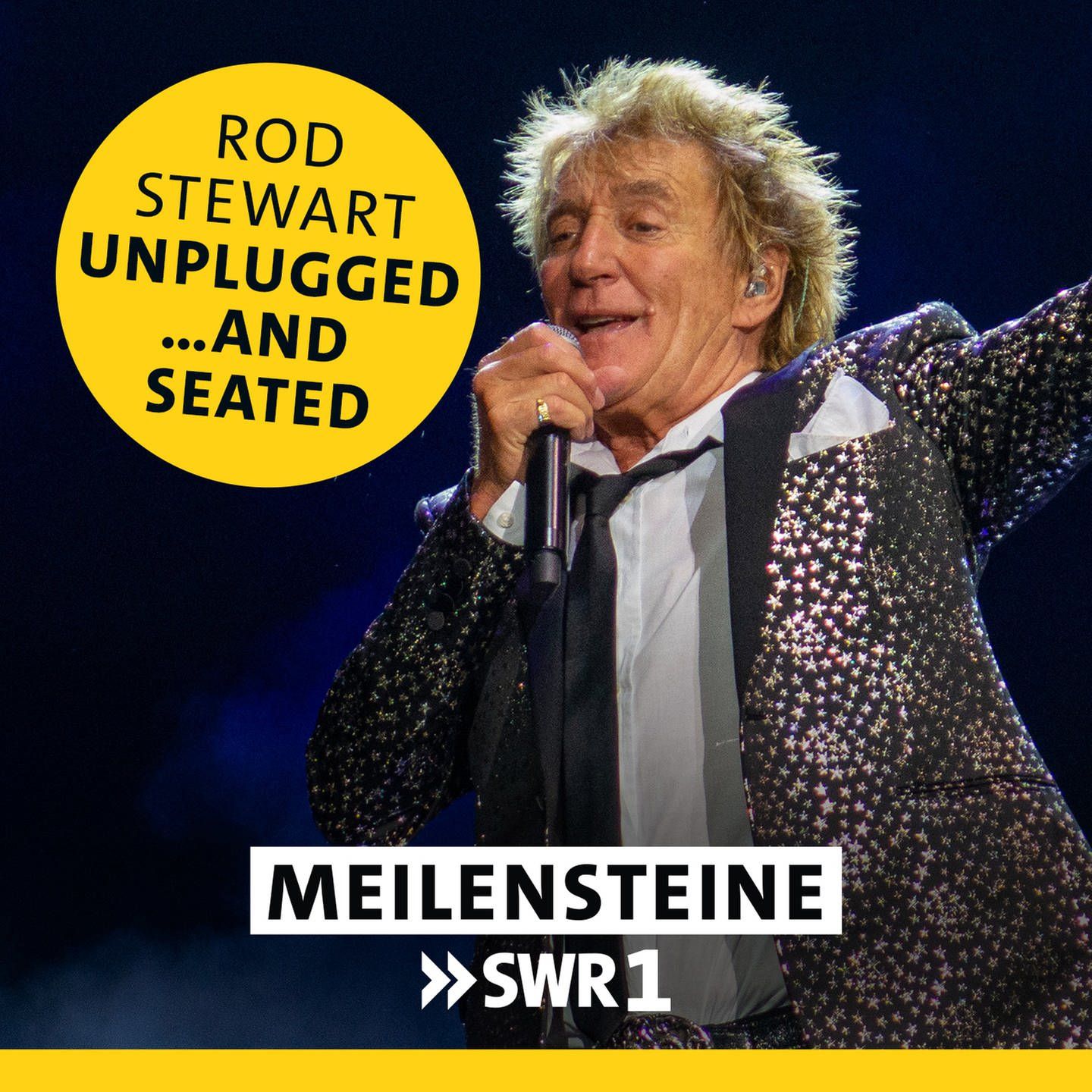 Rod Stewart – "Unplugged ...and seated"