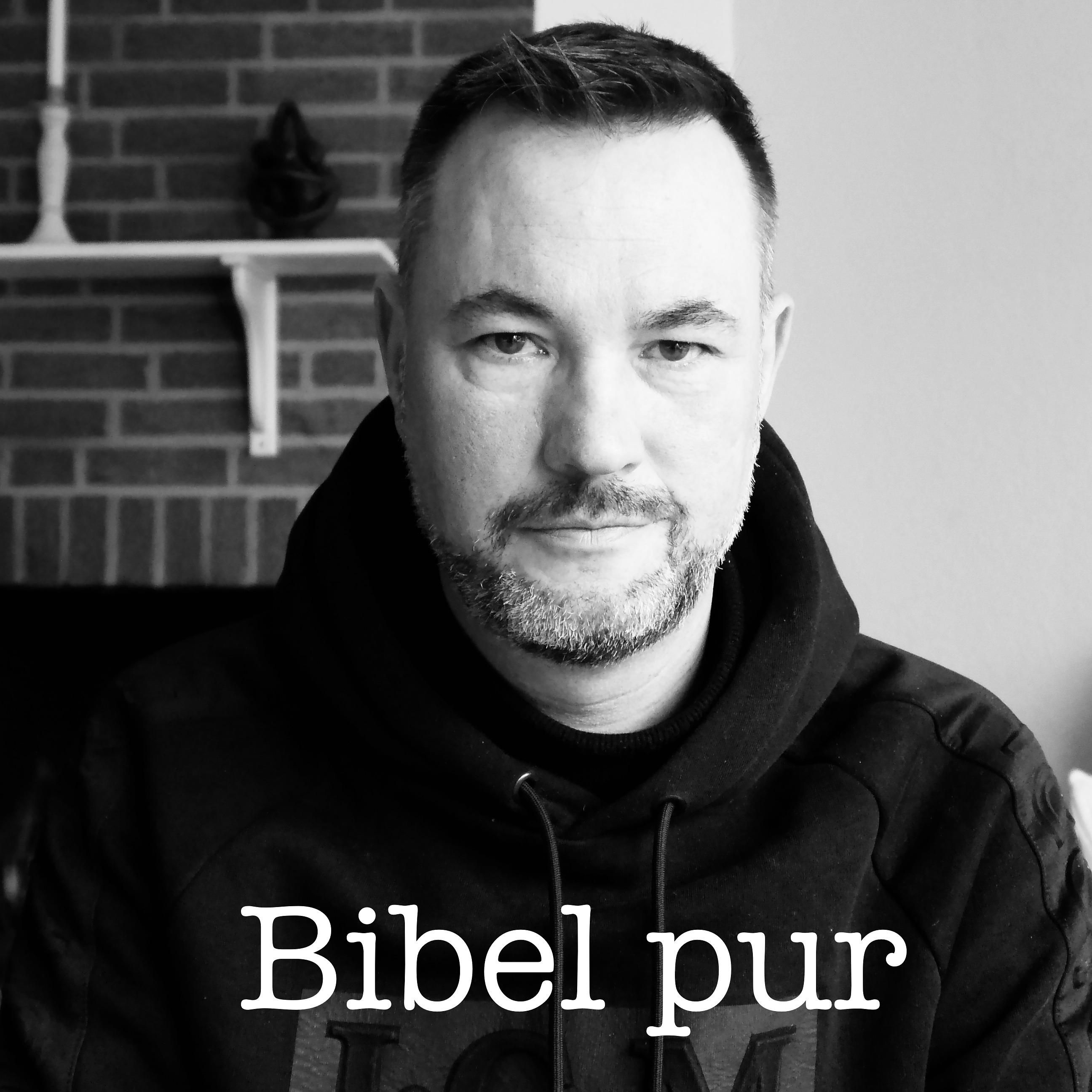 Römerbrief, Kapitel 8