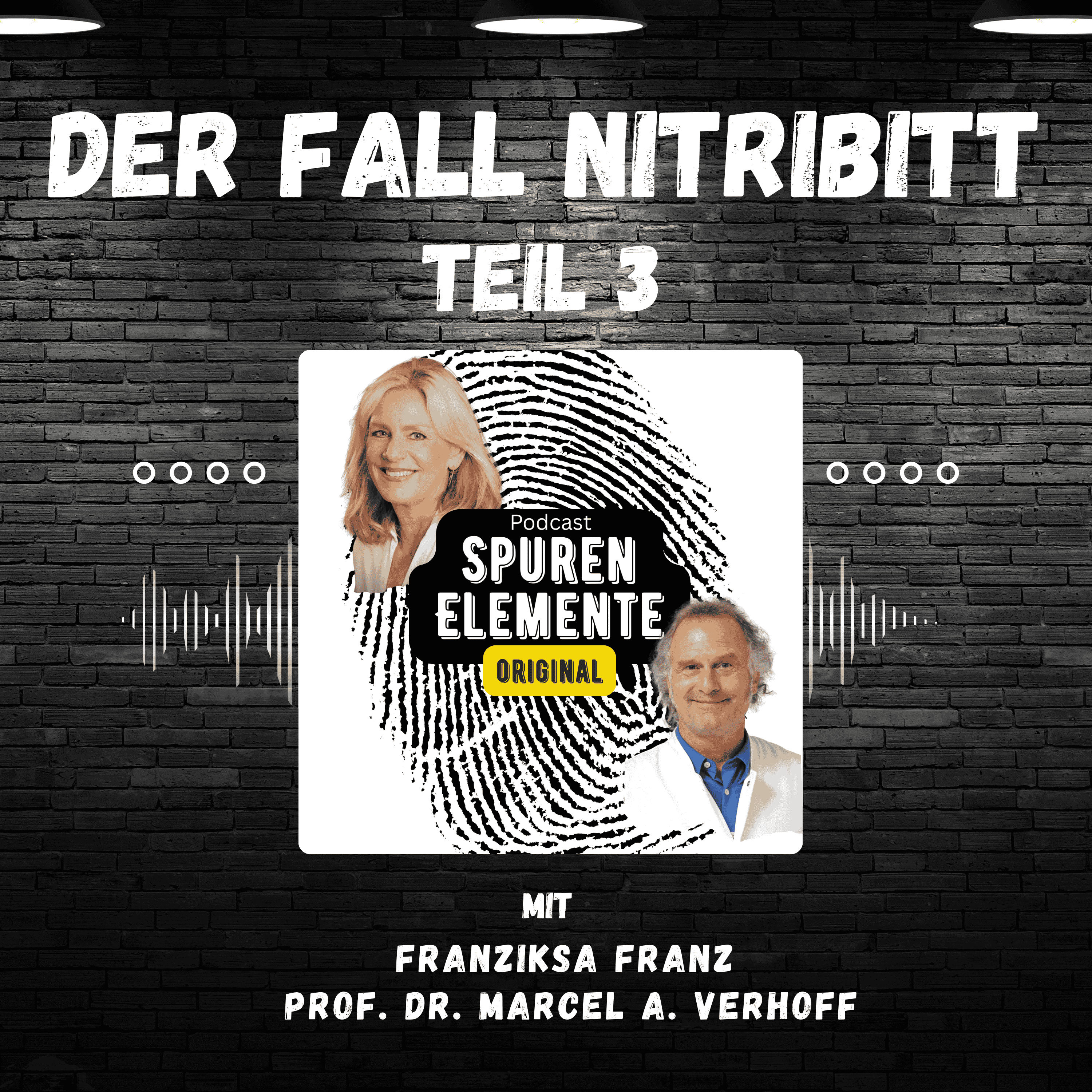 Rosemarie Nitribitt - Teil 3: Polizeiliche Betrachtung