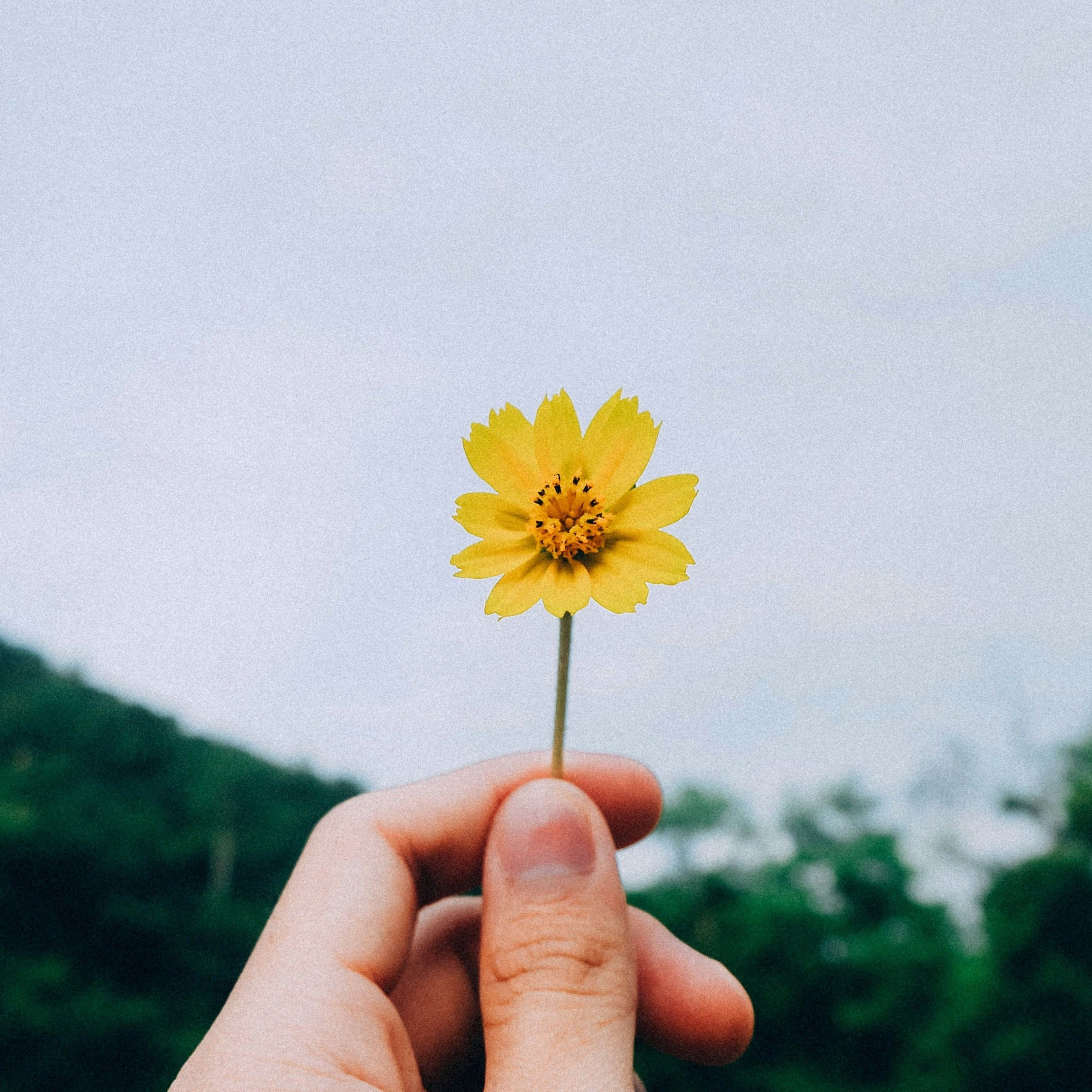 Routine & Mindset: Gesund denken, glücklicher leben!