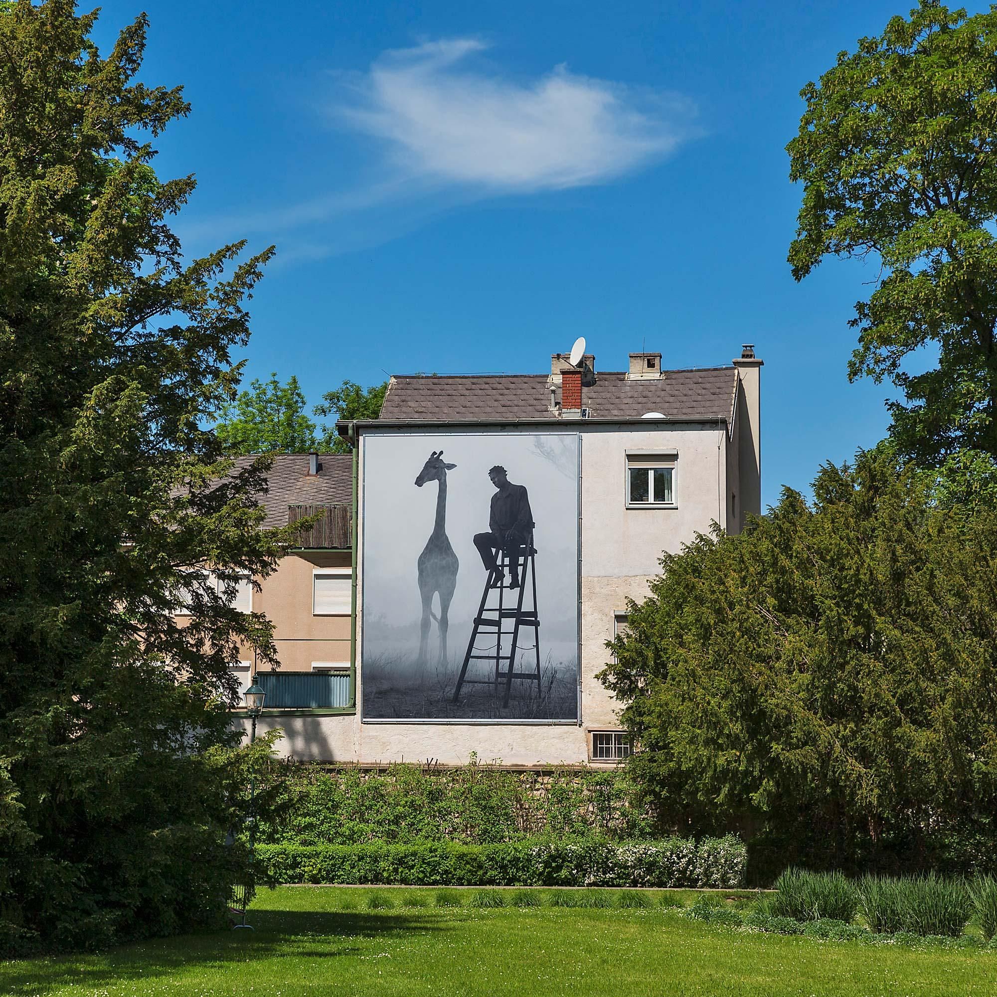 Rückblick auf "La Gacilly – Baden Photo" 2022: Visuelle Reise in den Norden