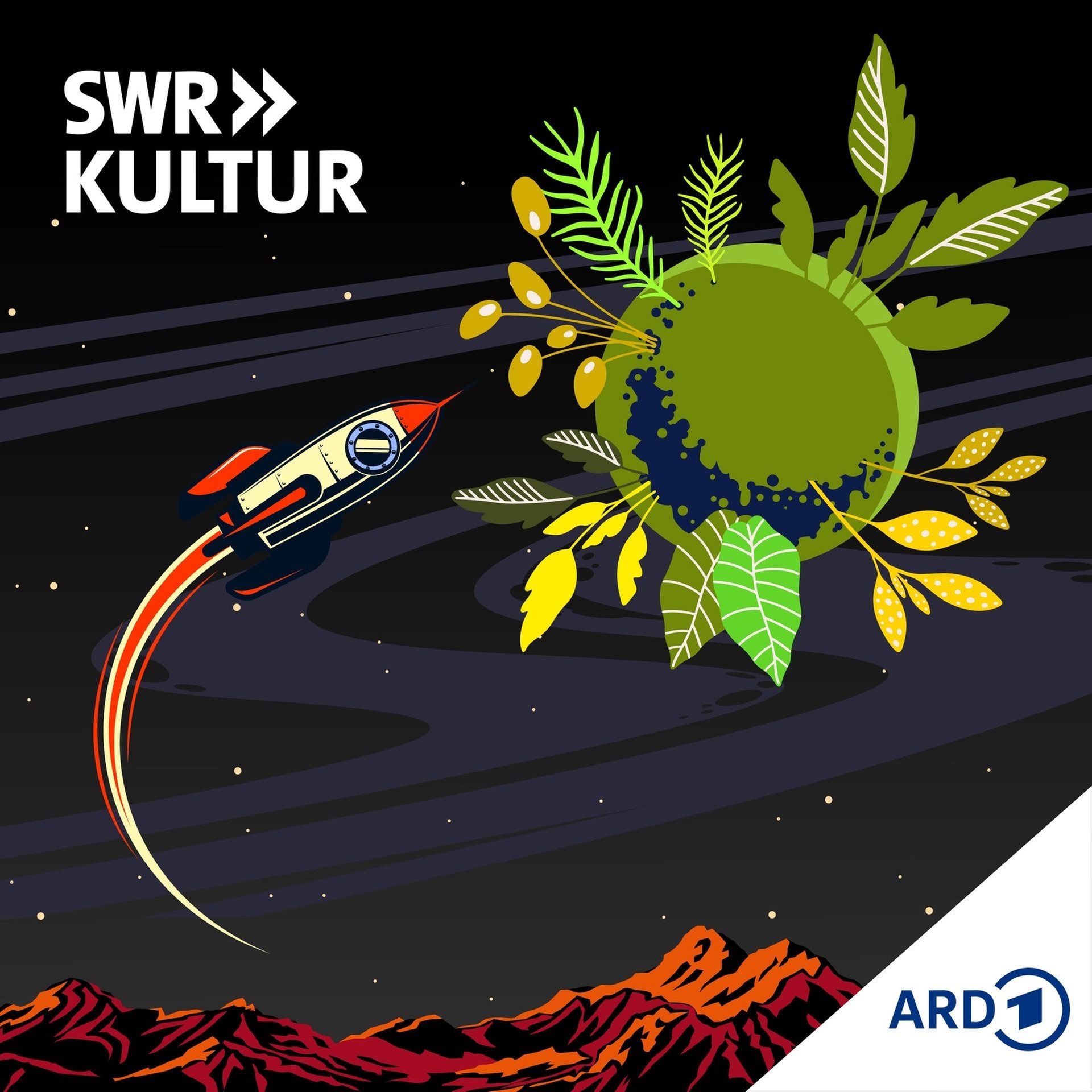 Rückkehr aus dem Weltall (1971)