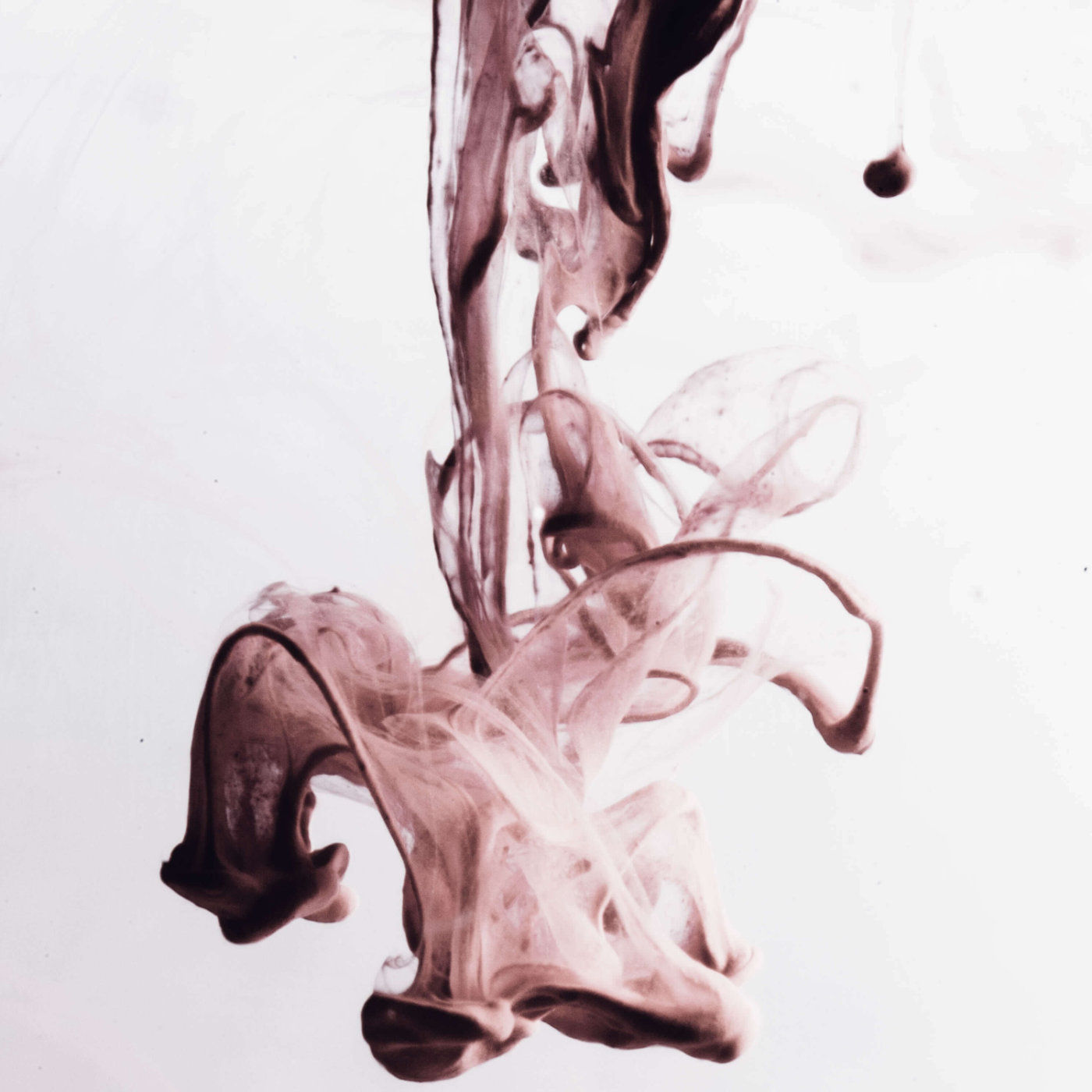 Rückläufigkeit des Herrschers unseres Sonnenzeichens