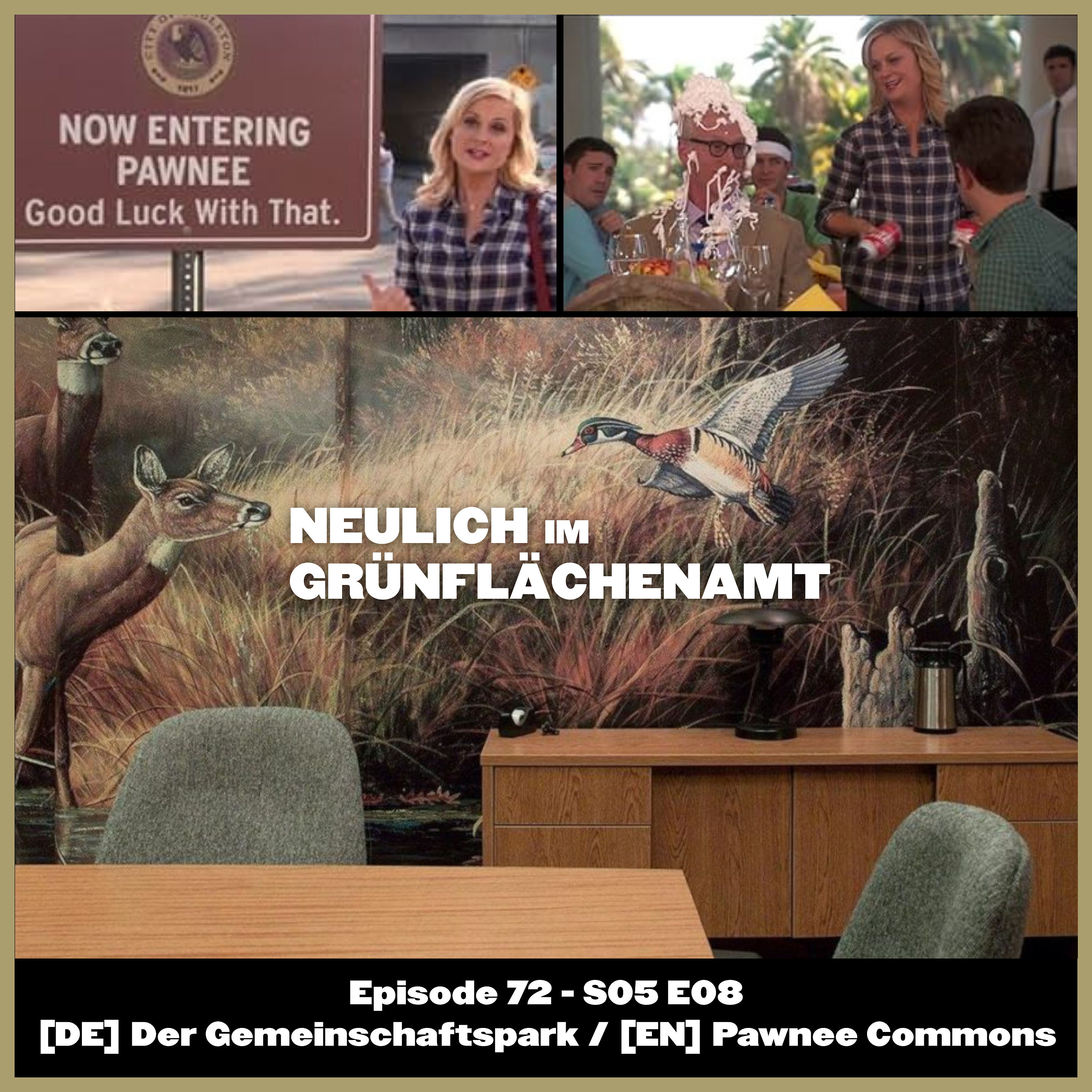 S05E08 - Pawnee Commons