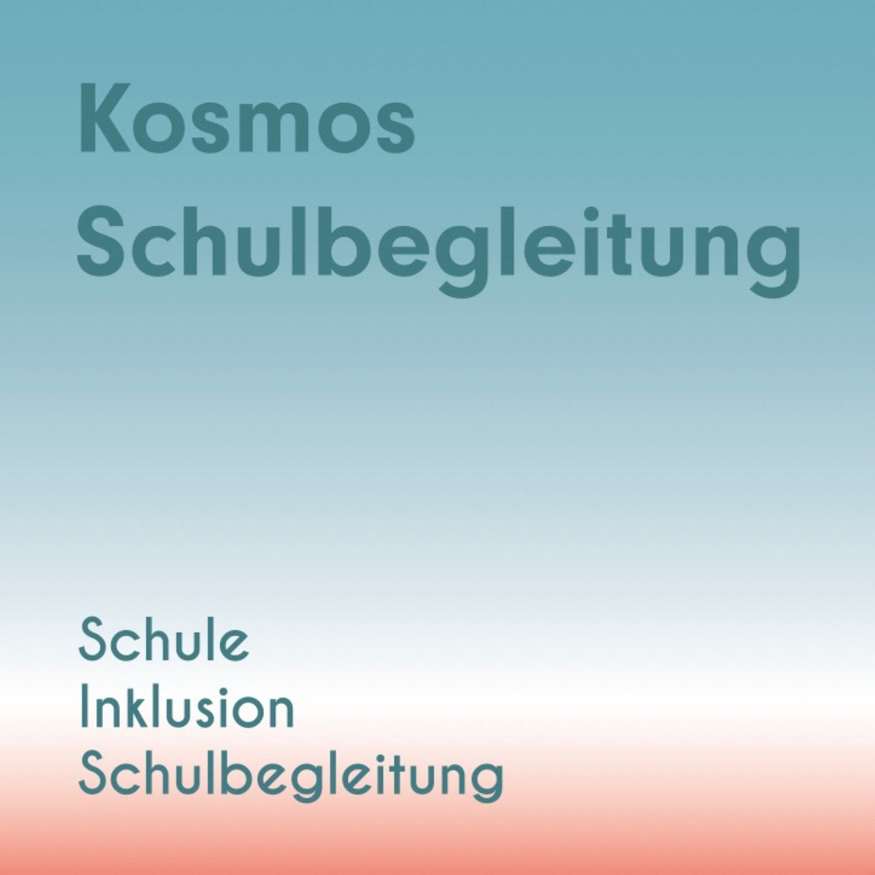 S1E10 Schulbegleitung und Sonderpädagogik