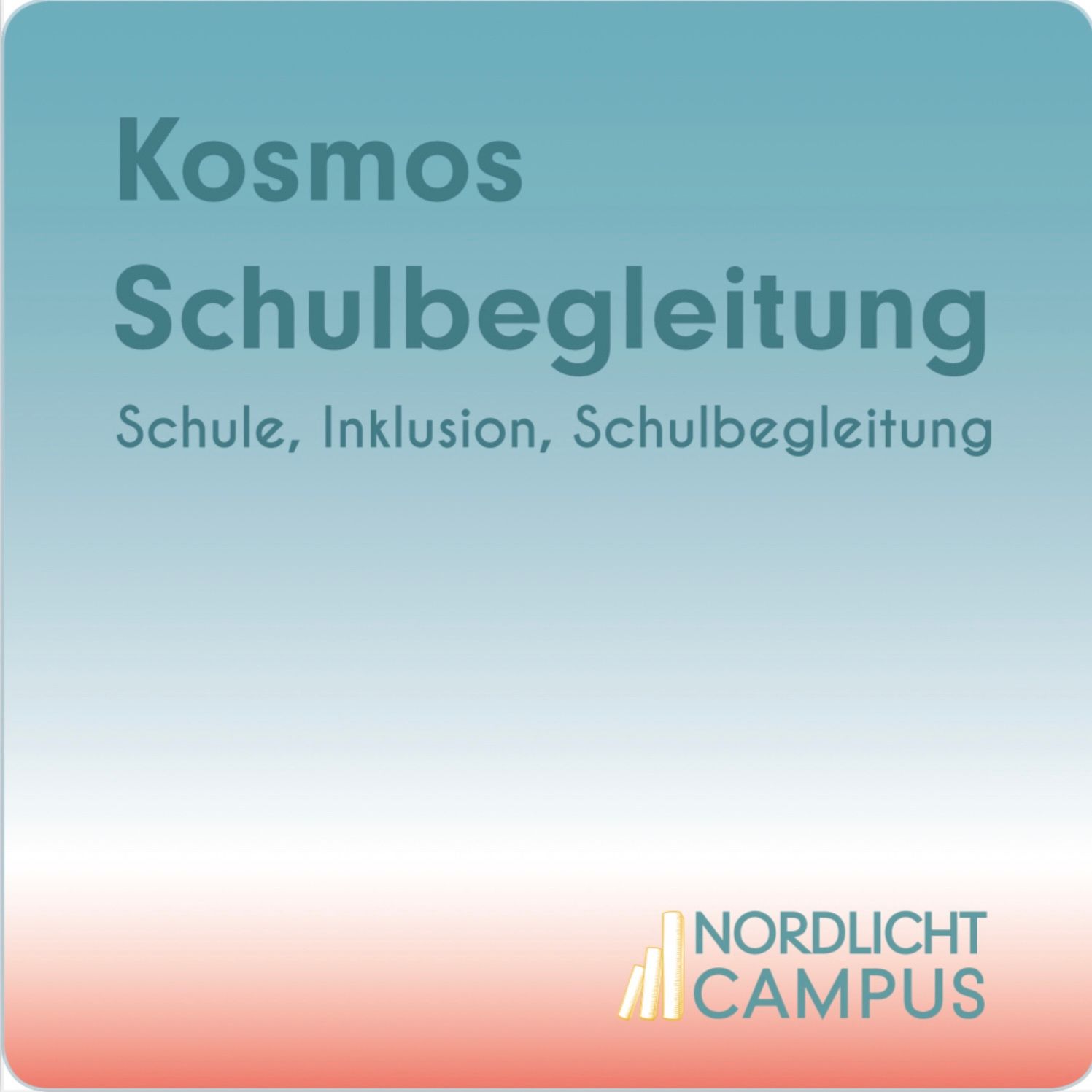 S2E02 (Wie) Kann Schulbegleitung Inklusion unterstützen?