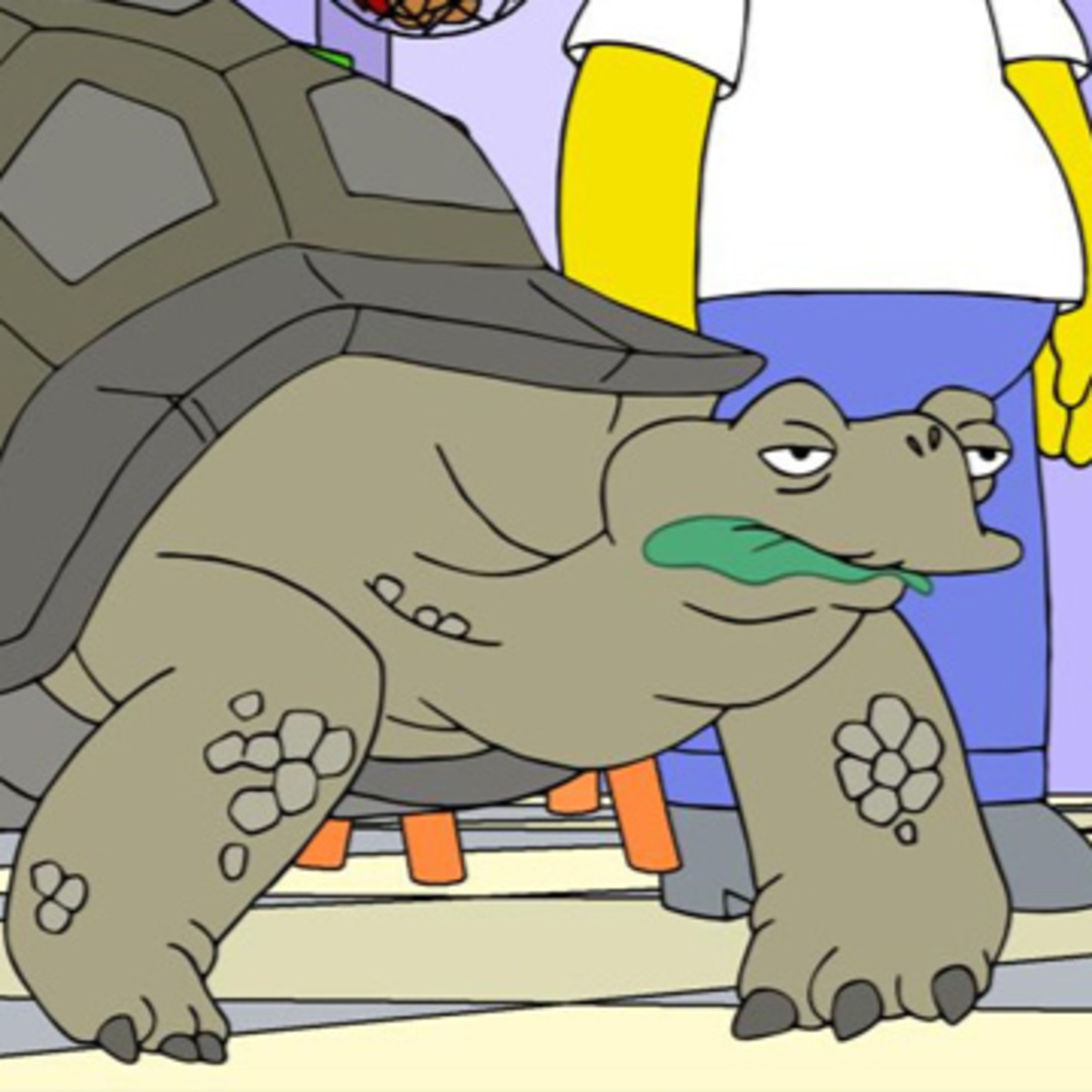 S34E01 - Die Schildkrötenverschwörung