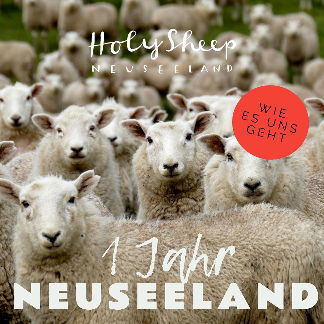 S3E23 Realitätscheck: Unser erstes Jahr in Neuseeland